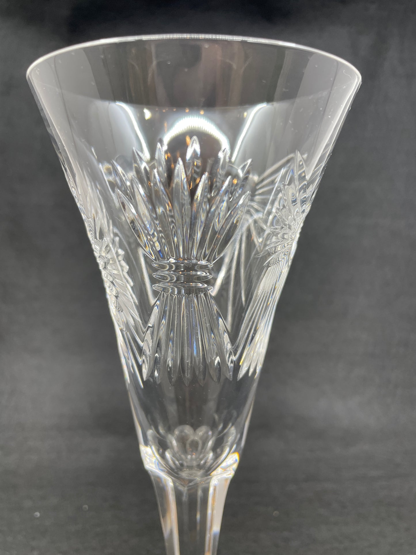 Waterford Five Toasts Champagne Flute (0NI007)