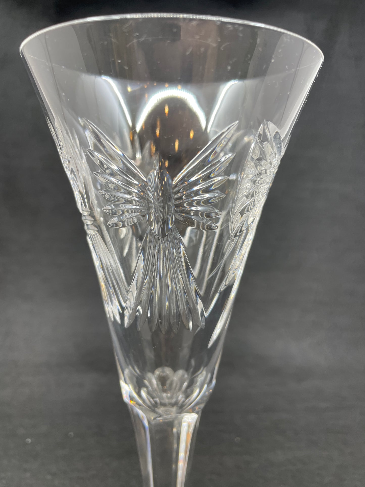 Waterford Five Toasts Champagne Flute (0NI007)