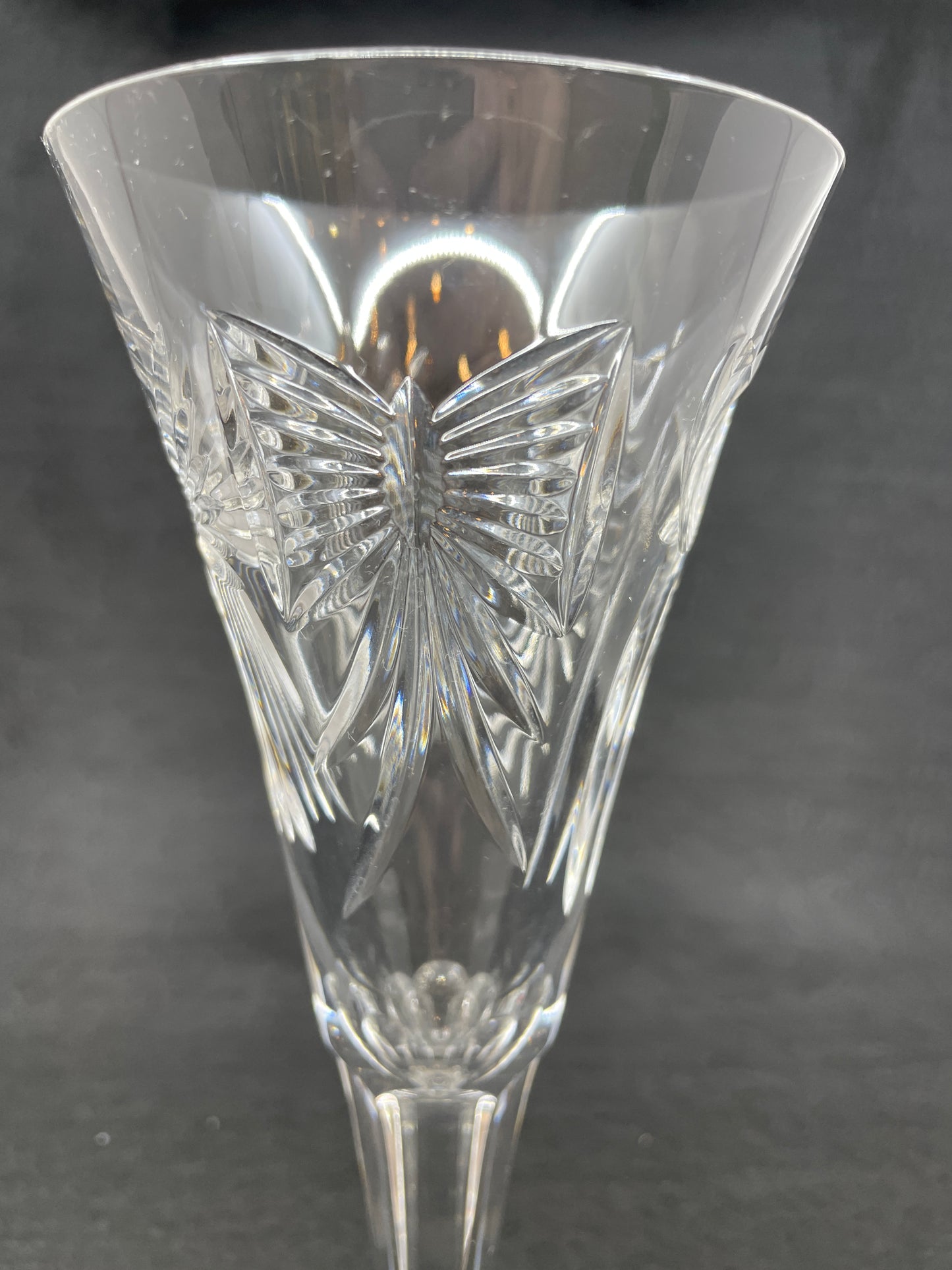 Waterford Five Toasts Champagne Flute (0NI007)