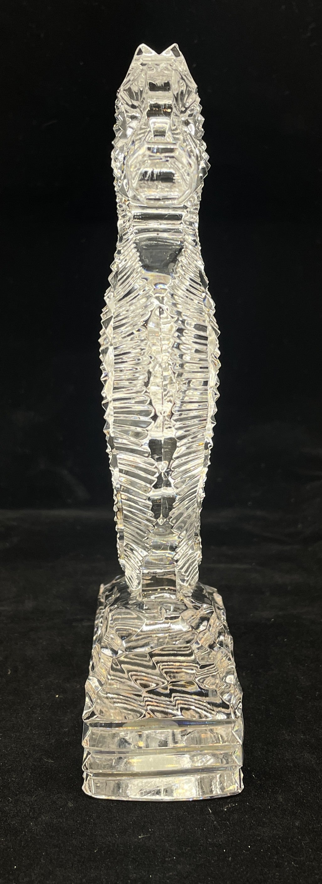 Waterford Seahorse with box (0IR018)