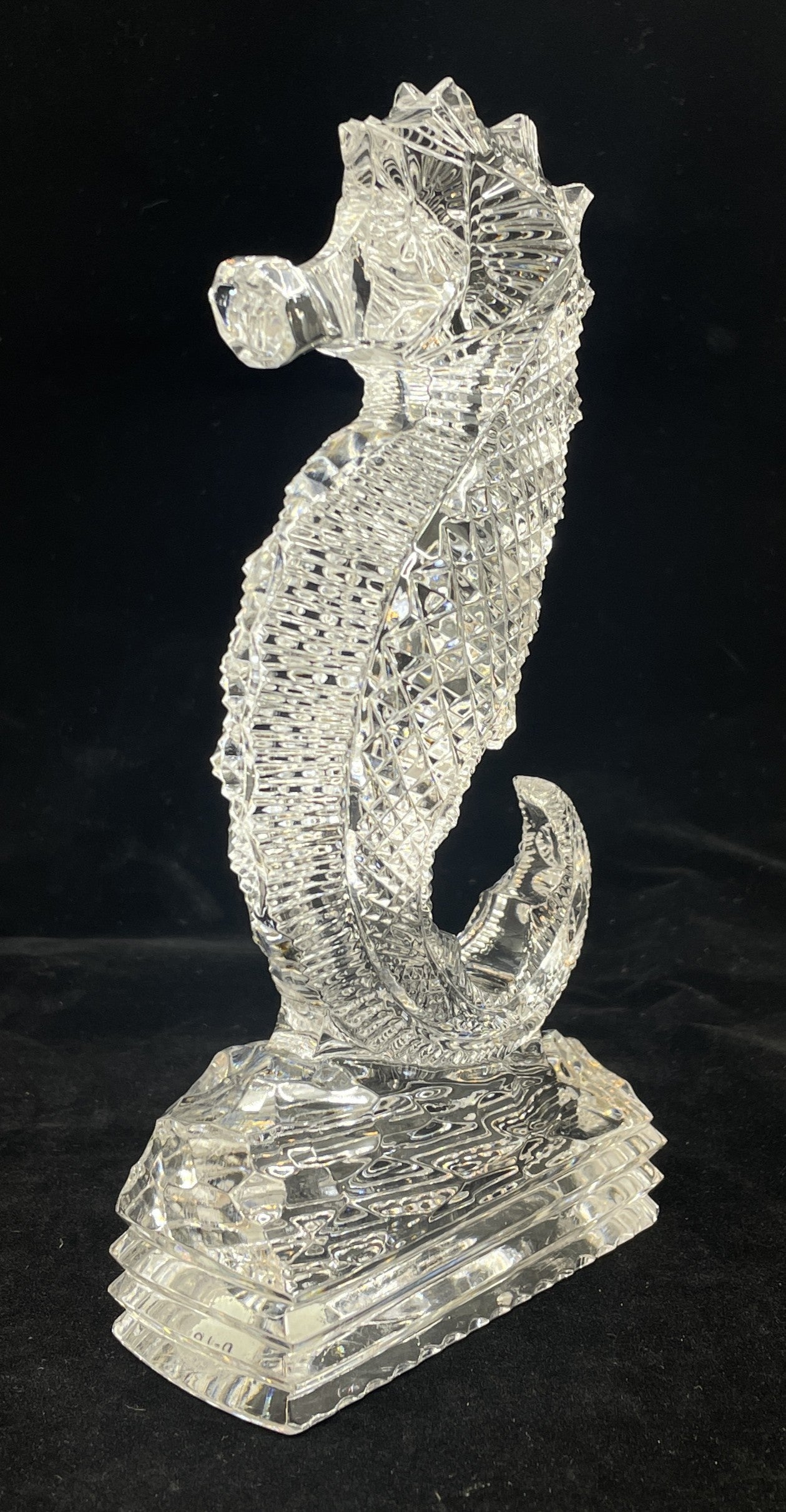 Waterford Seahorse with box (0IR018)