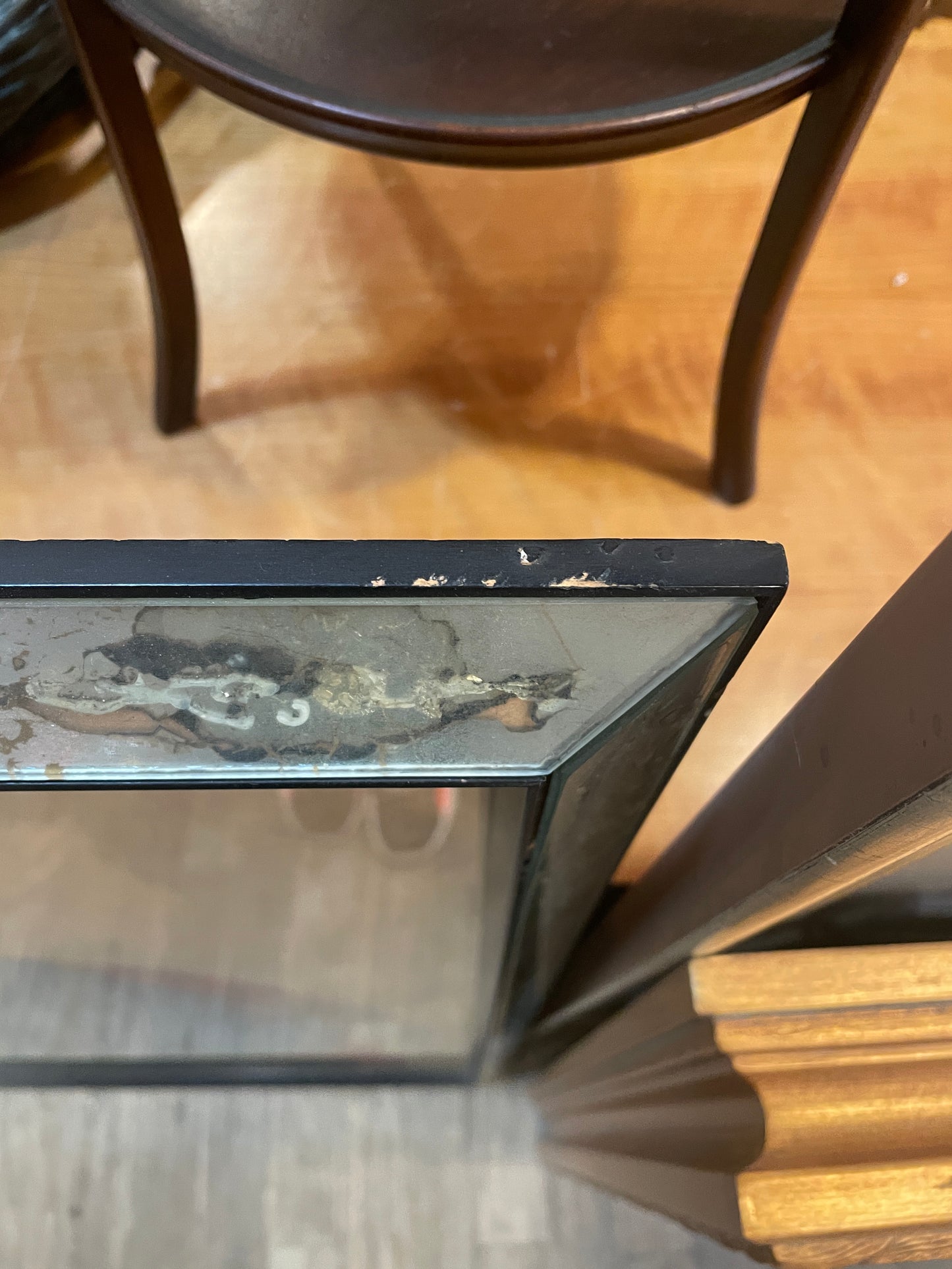 Chinese Ancestor in Vintage Mirrored Frame (0JZ002)