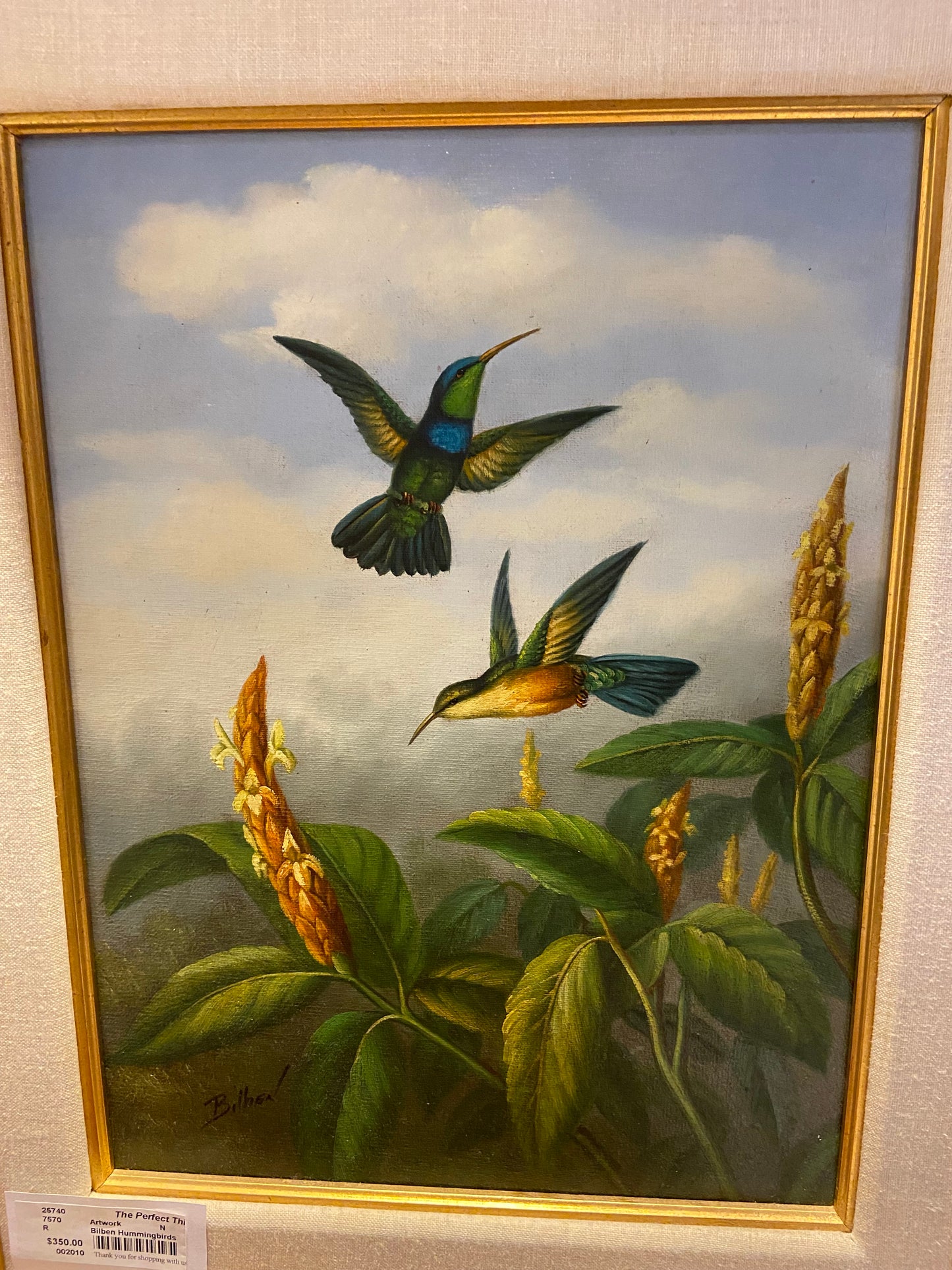 Bilben Hummingbirds (25740)