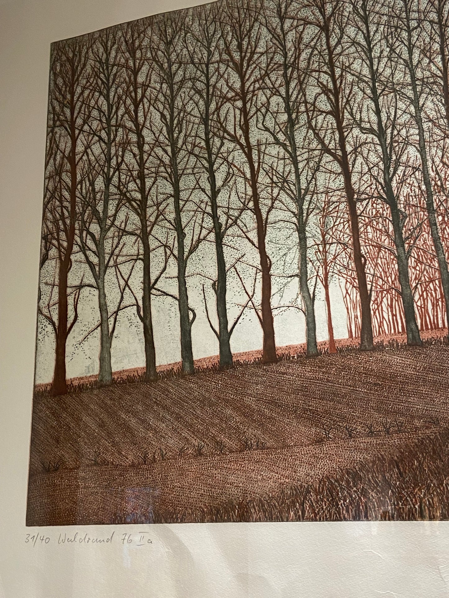 Peter Rediker Birch Trees (24056)