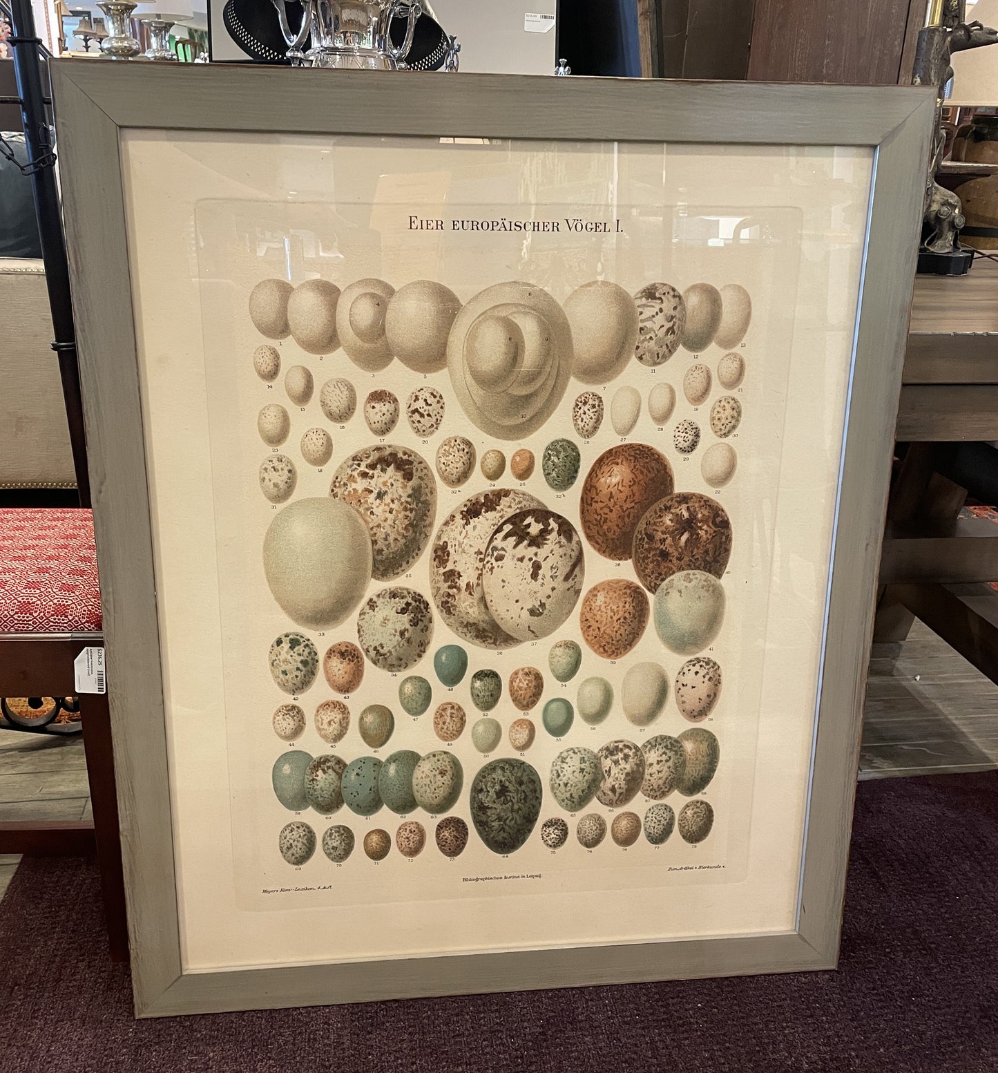 Arhaus Bird's Eggs Print (03T00K)