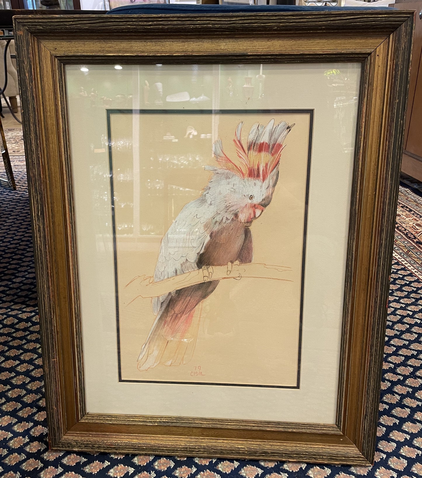 Cockatoo Watercolor signed Cisie (0GF00X)
