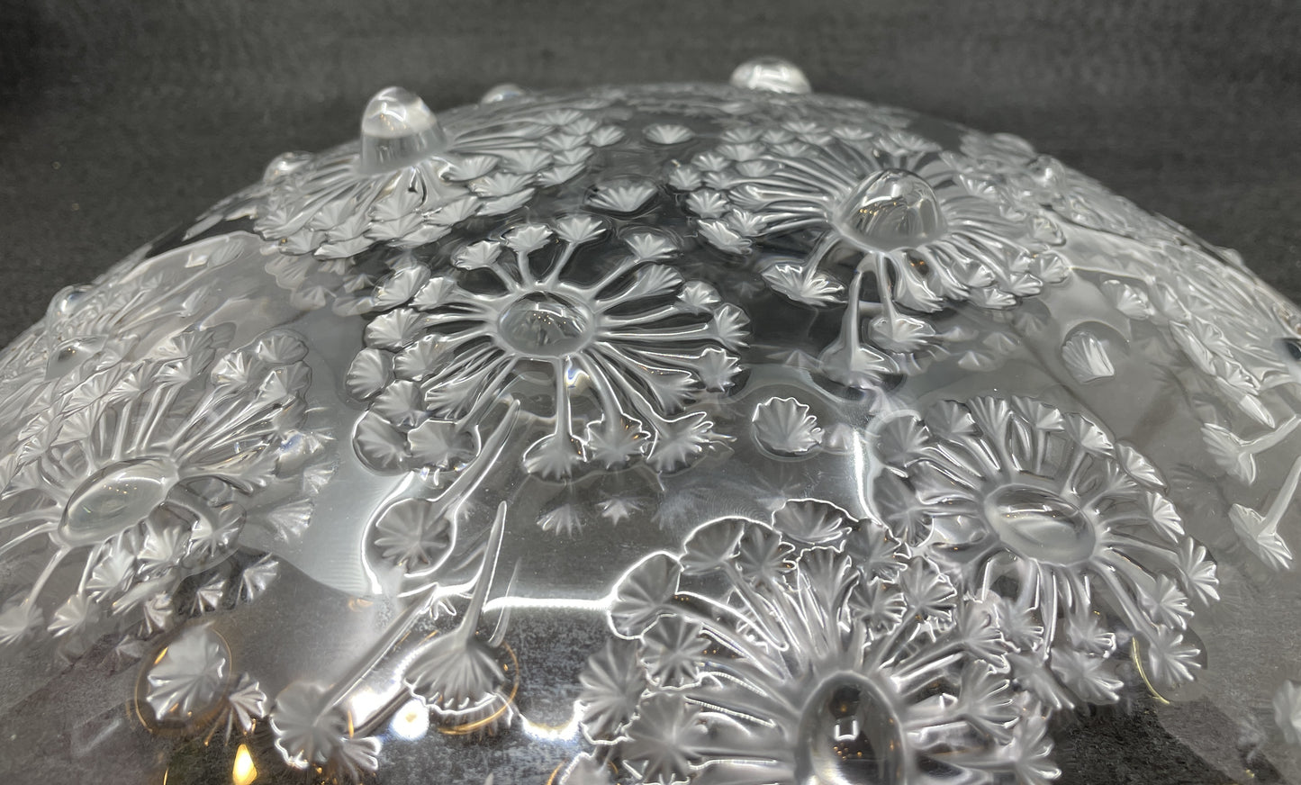 Lalique Bucolique Dandelion Bowl, 13.5", with box (03300A)