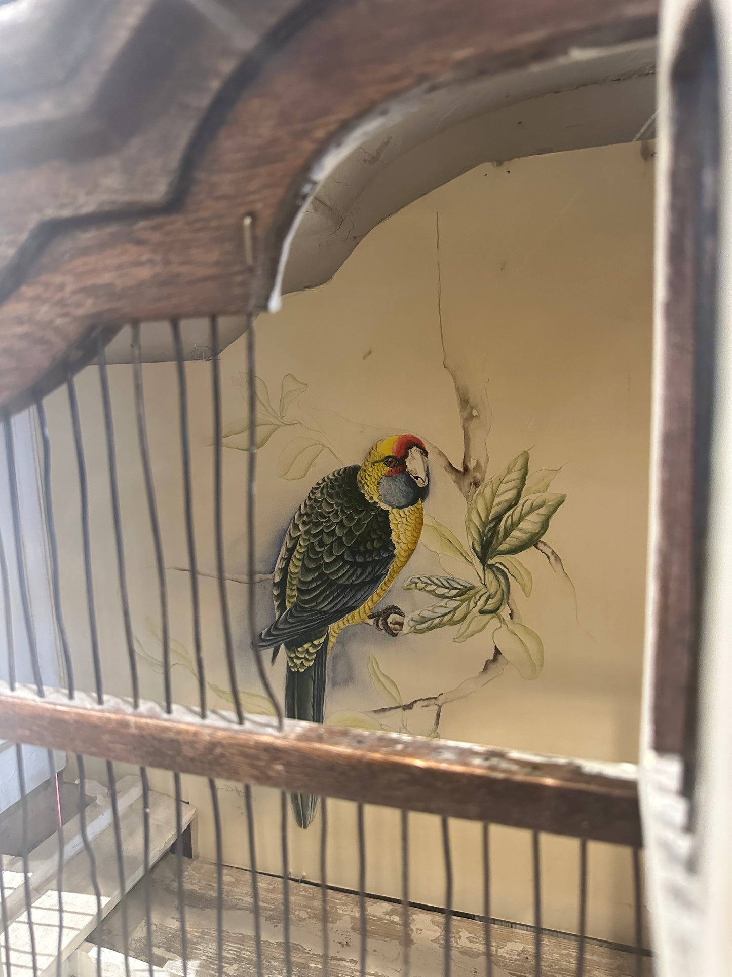 Antique Bird Cage (26361)