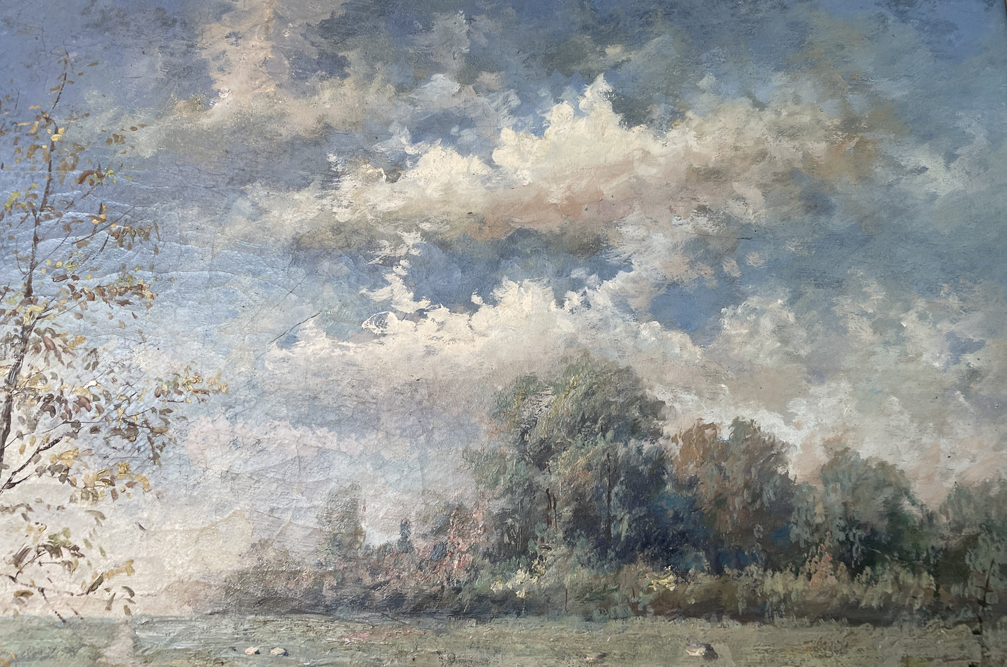 Sheep in Pasture Oil on Board (0AS00D)