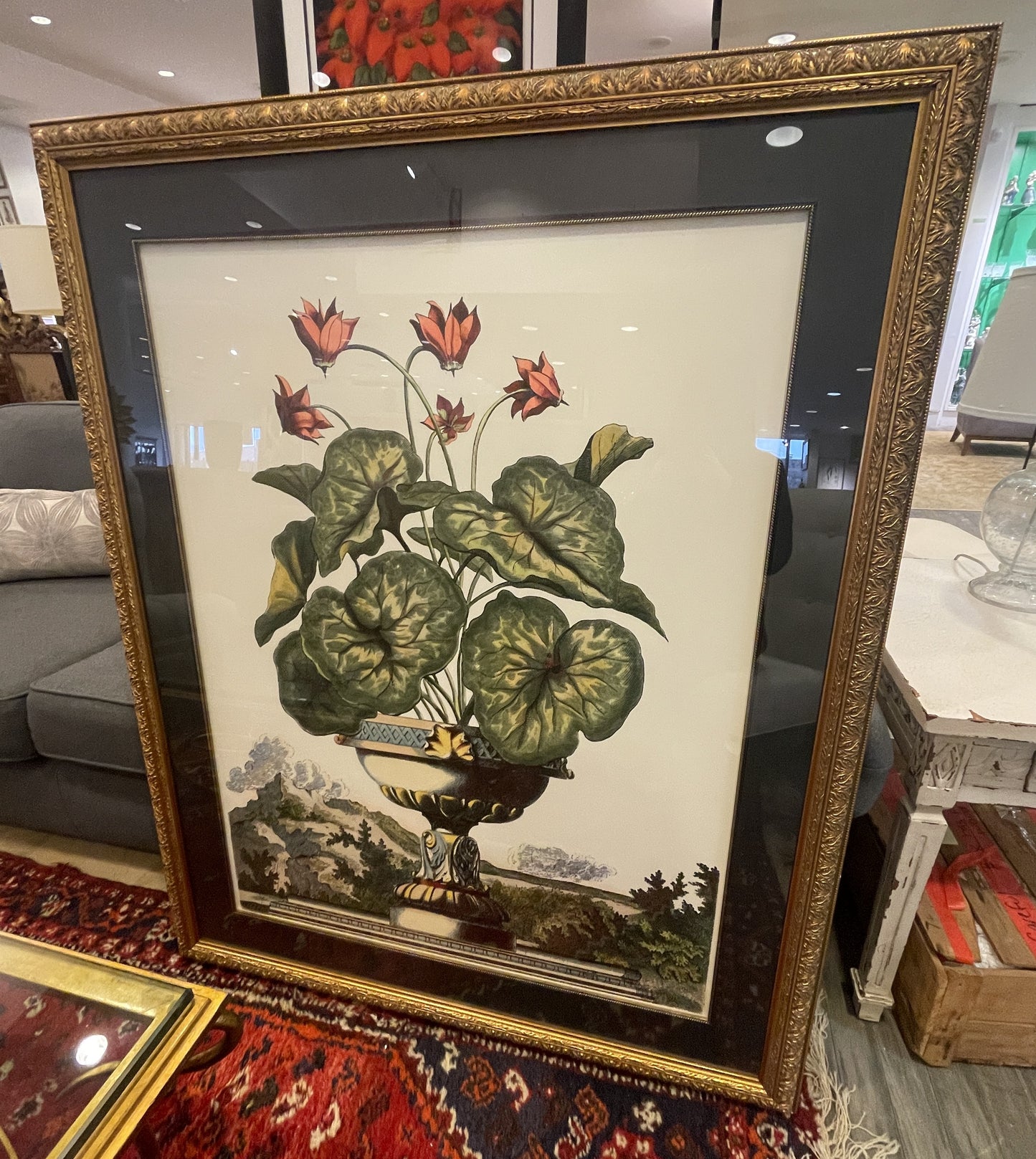 John Richard Botanical, Extra Large (0KO001)