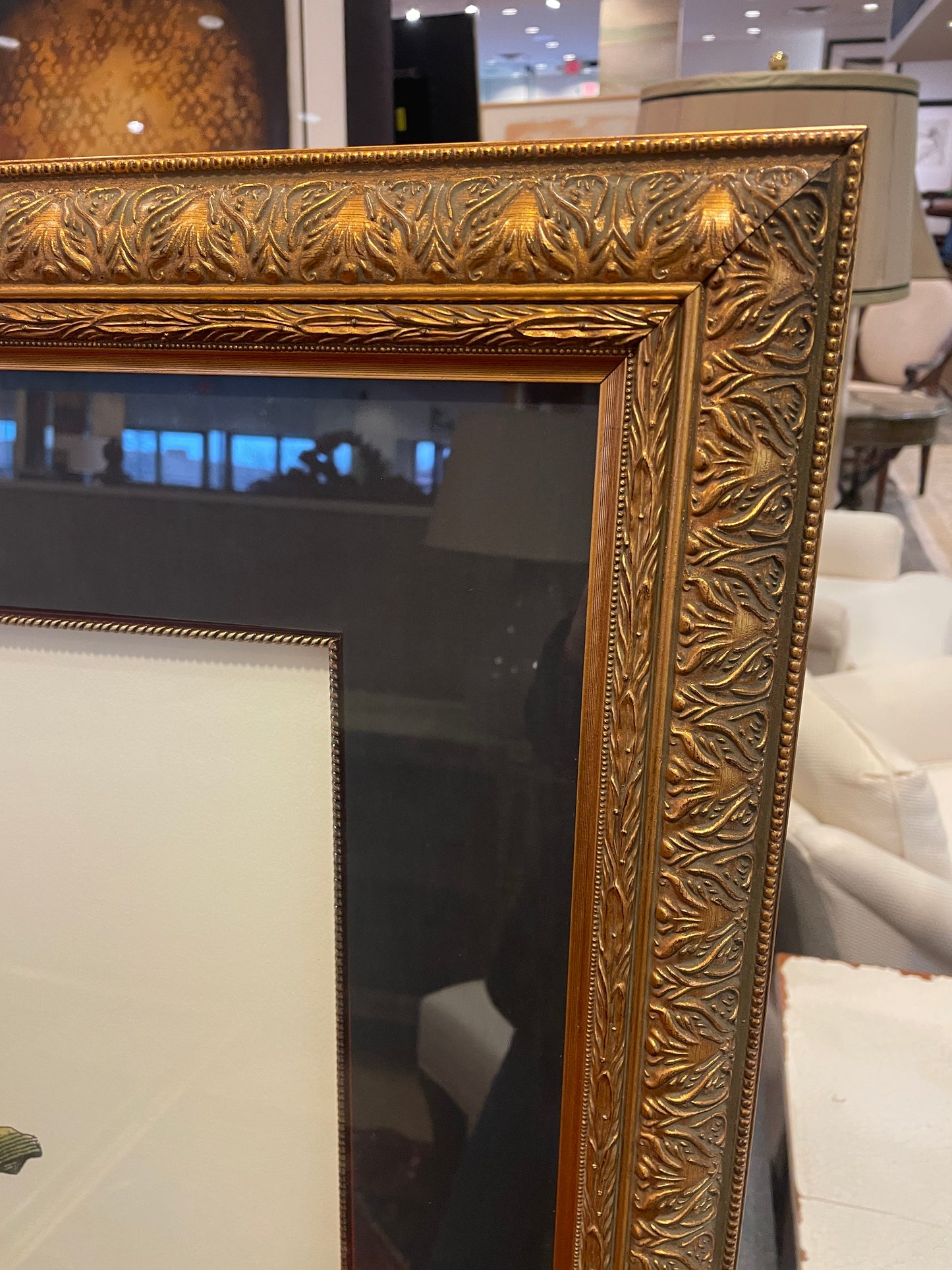 John Richard Botanical, Extra Large (0KO001)