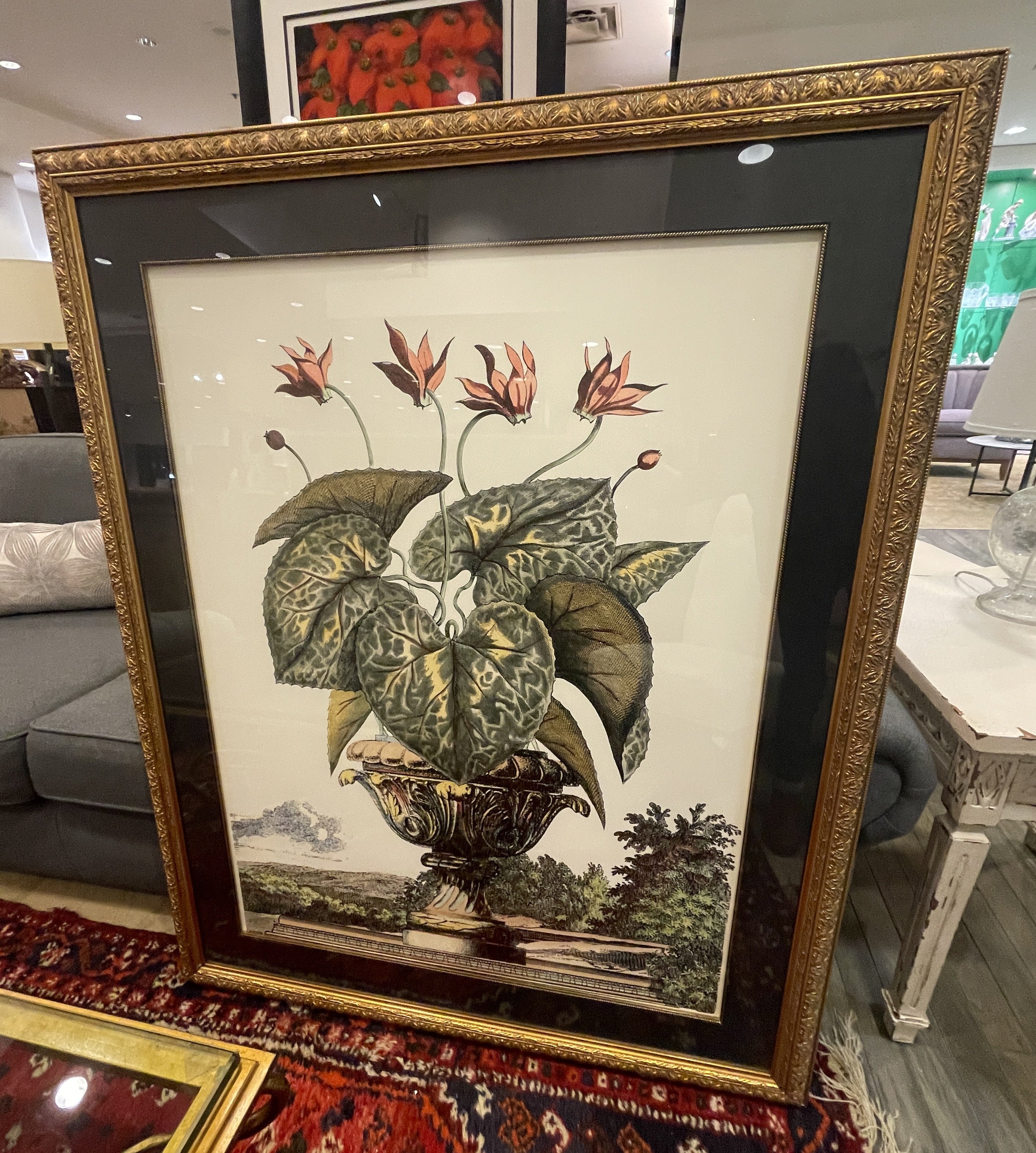 【希少.匿名.翌日発送】Jhon-Richard 絵画 USA 植物 花 額装品 John Richard Botanical, Extra Large (0KO002) – The Perfect Thing
