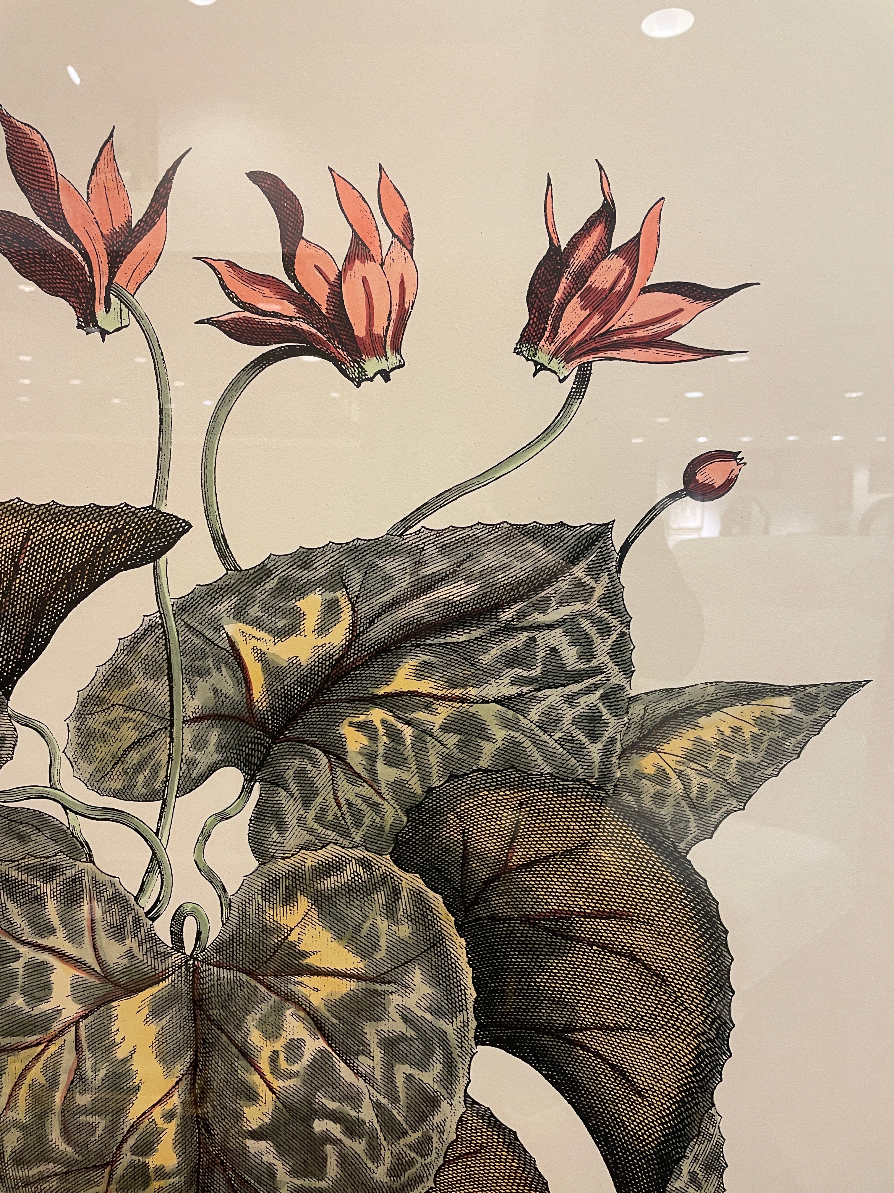 John Richard Botanical, Extra Large (0KO002) – The Perfect Thing