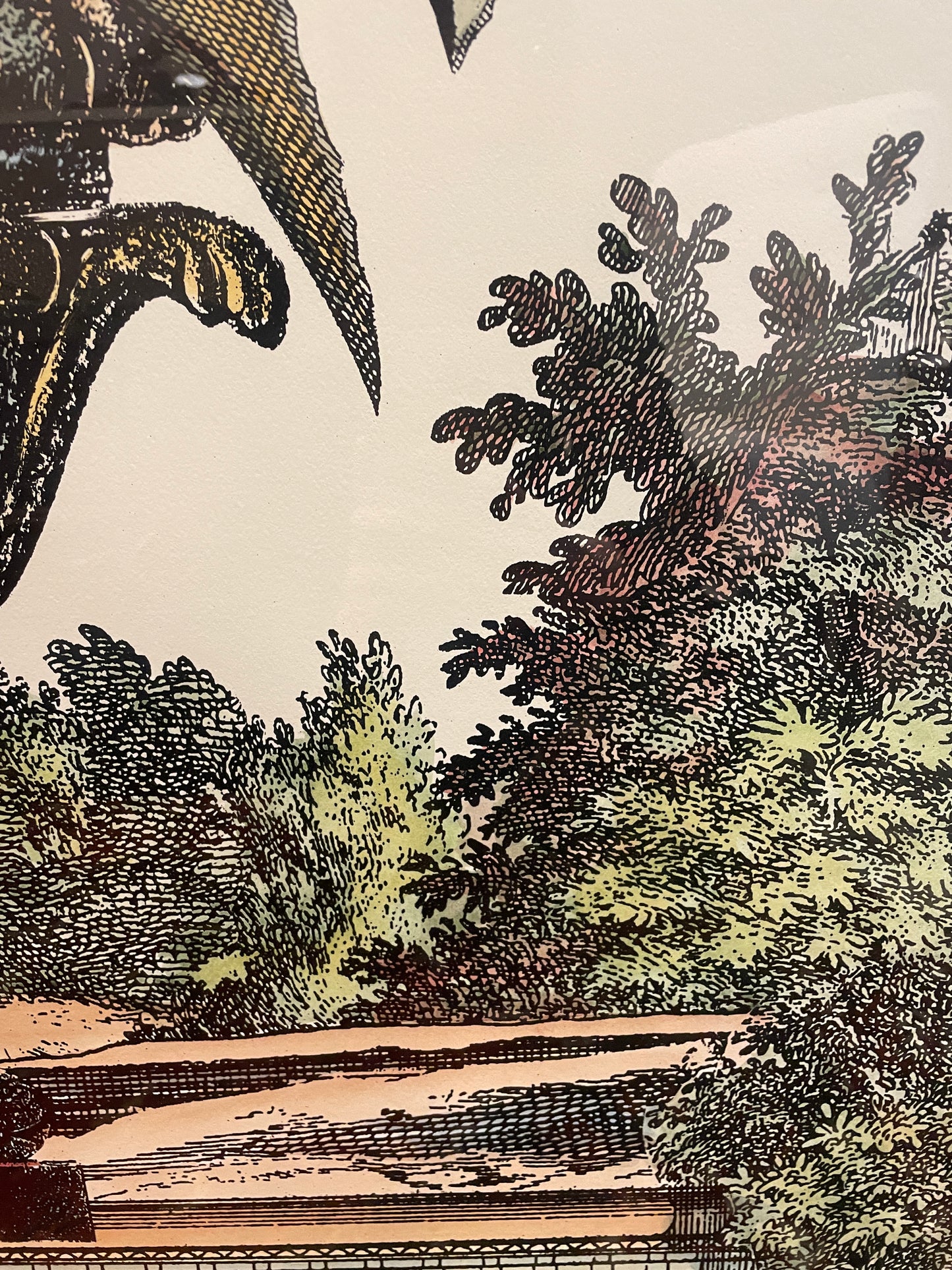 John Richard Botanical, Extra Large (0KO002)