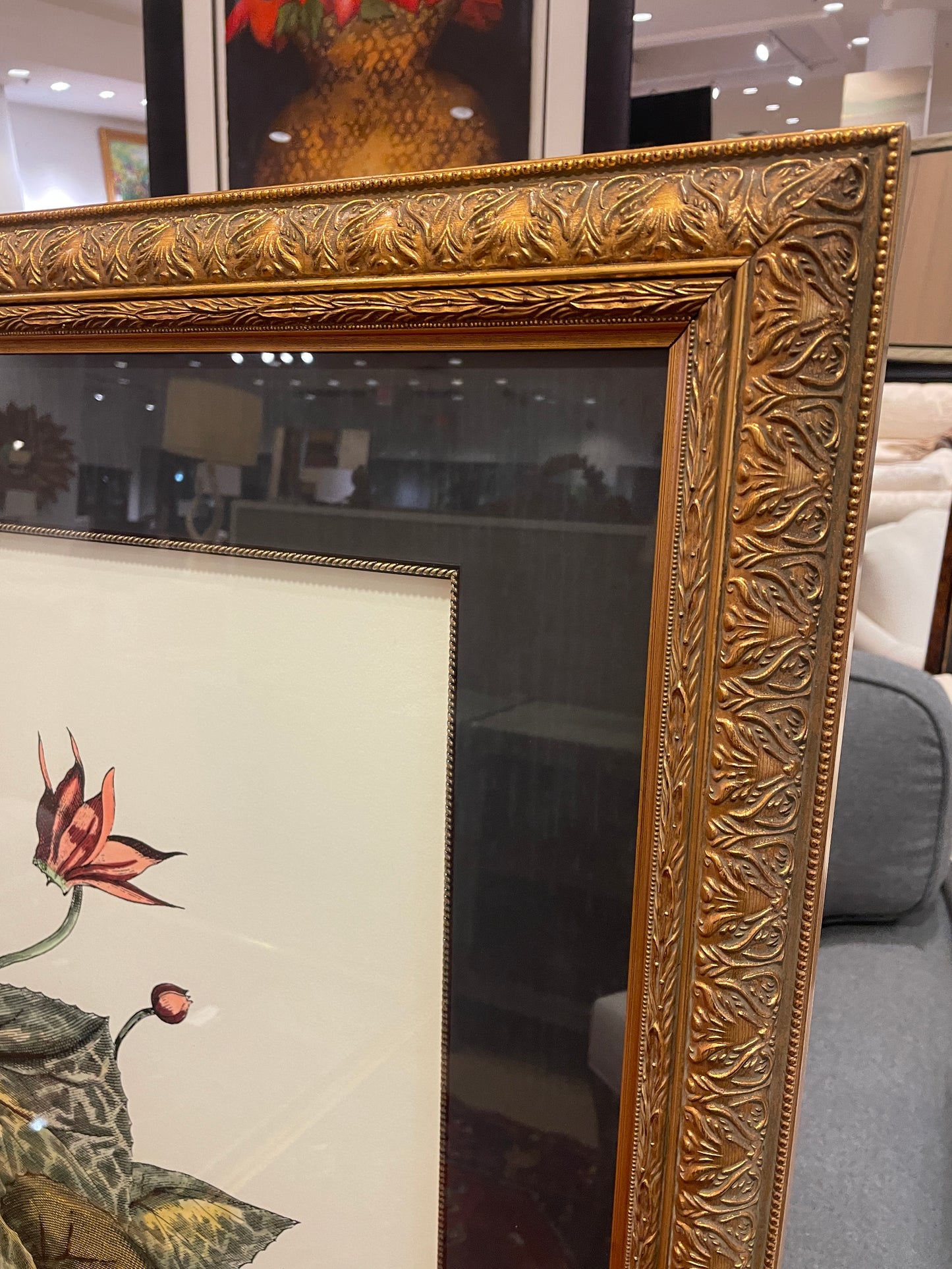 John Richard Botanical, Extra Large (0KO002)