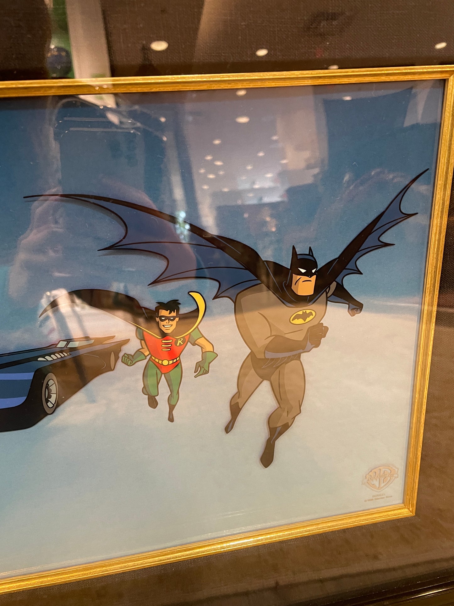 Warner Brothers Batman and Robin Sericel (0OI001)