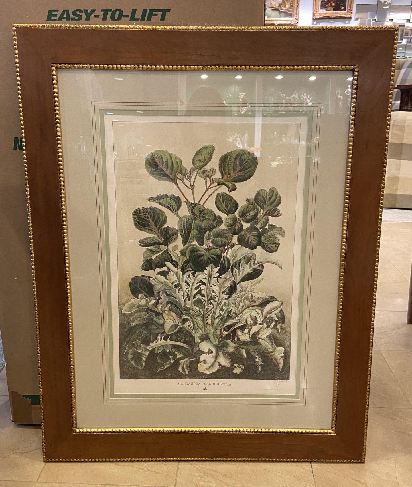 Sax Fifth Ave Botanical Prints by F. Grobon AS IS (H8N3LK)