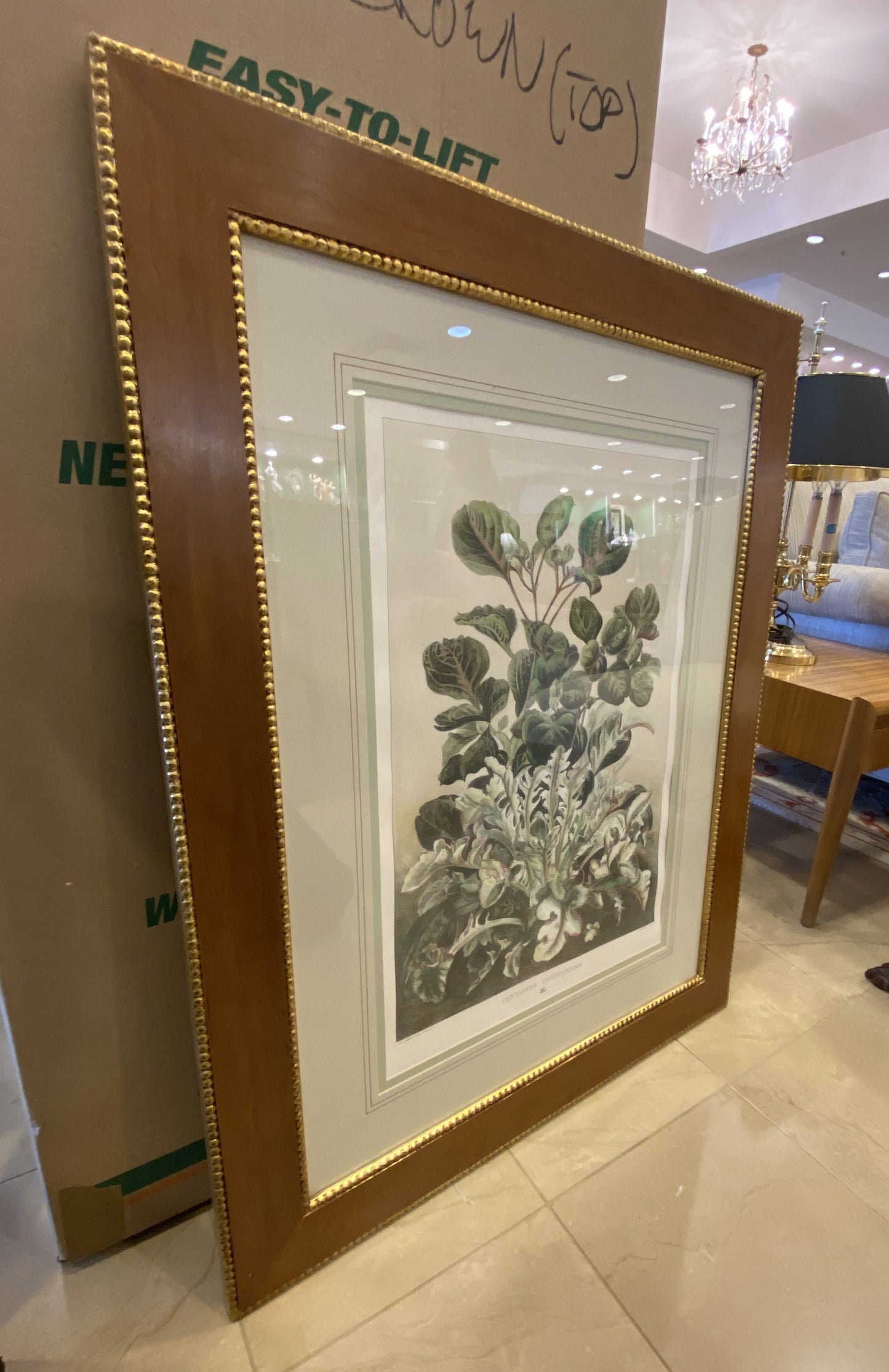 Sax Fifth Ave Botanical Prints by F. Grobon AS IS (H8N3LK)