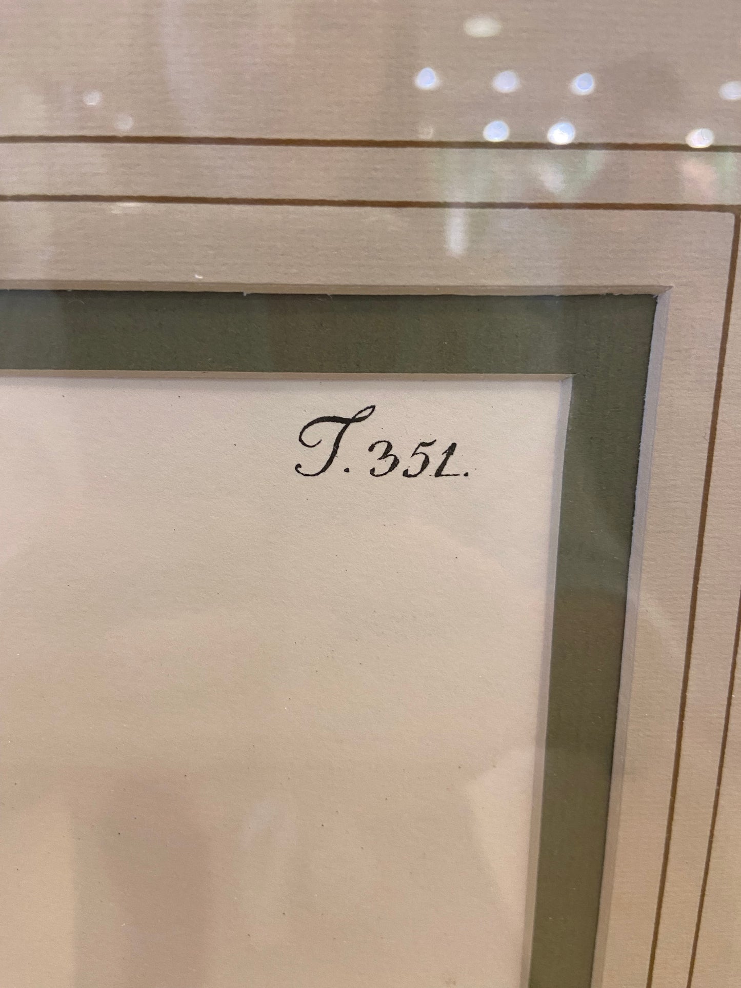 Sax Fifth Ave Botanical Prints by F. Grobon AS IS (H8N3LK)