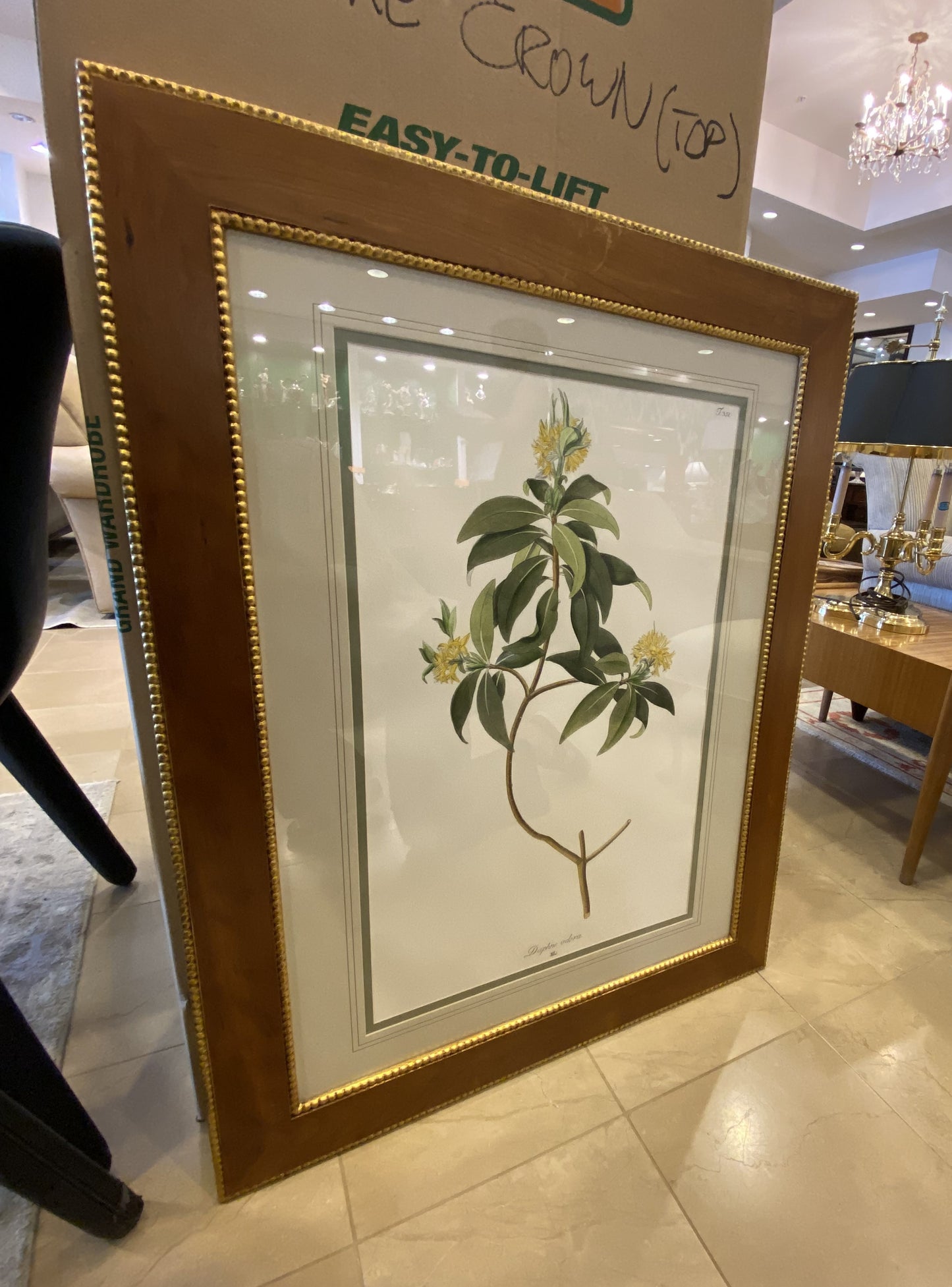 Sax Fifth Ave Botanical Prints by F. Grobon AS IS (H8N3LK)