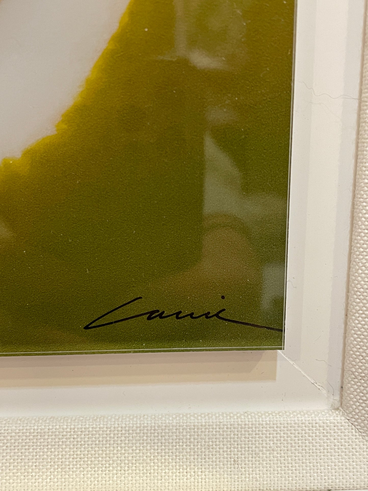 Carrie Graber "Palm Springs Perspective" EA (0CY00B)