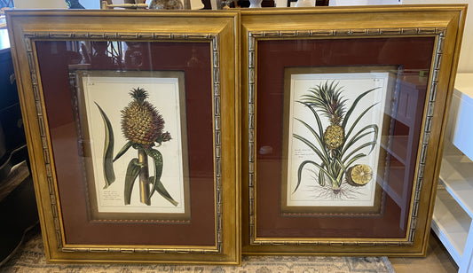 Pair of Pineapples from CAI Design (BWN4BW)