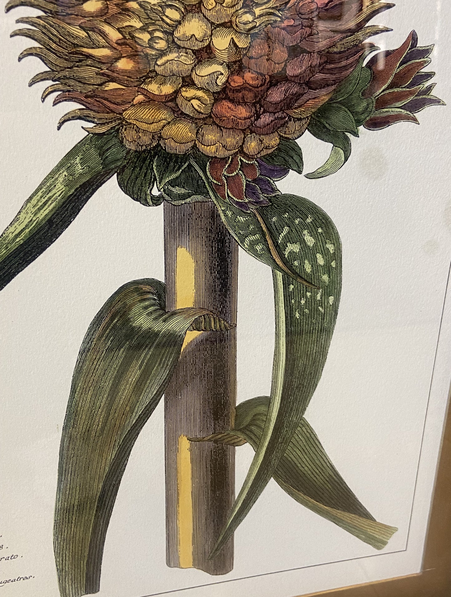 Pair of Pineapples from CAI Design (BWN4BW)