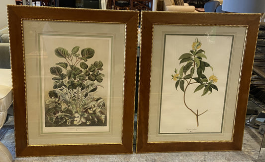 Sax Fifth Ave Botanical Prints by F. Grobon AS IS (H8N3LK)