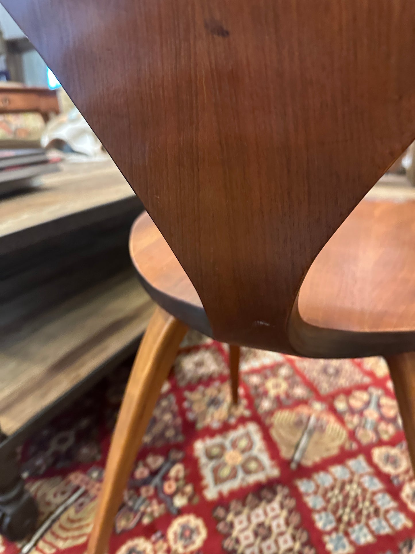 Plycraft Bernardo Chair, 1950s after Norman Cherner (0NG005, 0NG004)