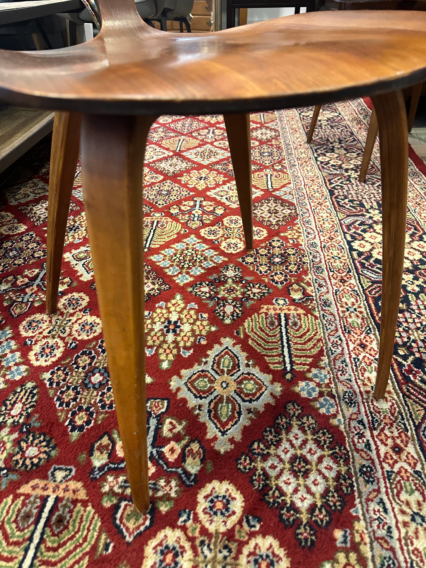 Plycraft Bernardo Chair, 1950s after Norman Cherner (0NG005, 0NG004)