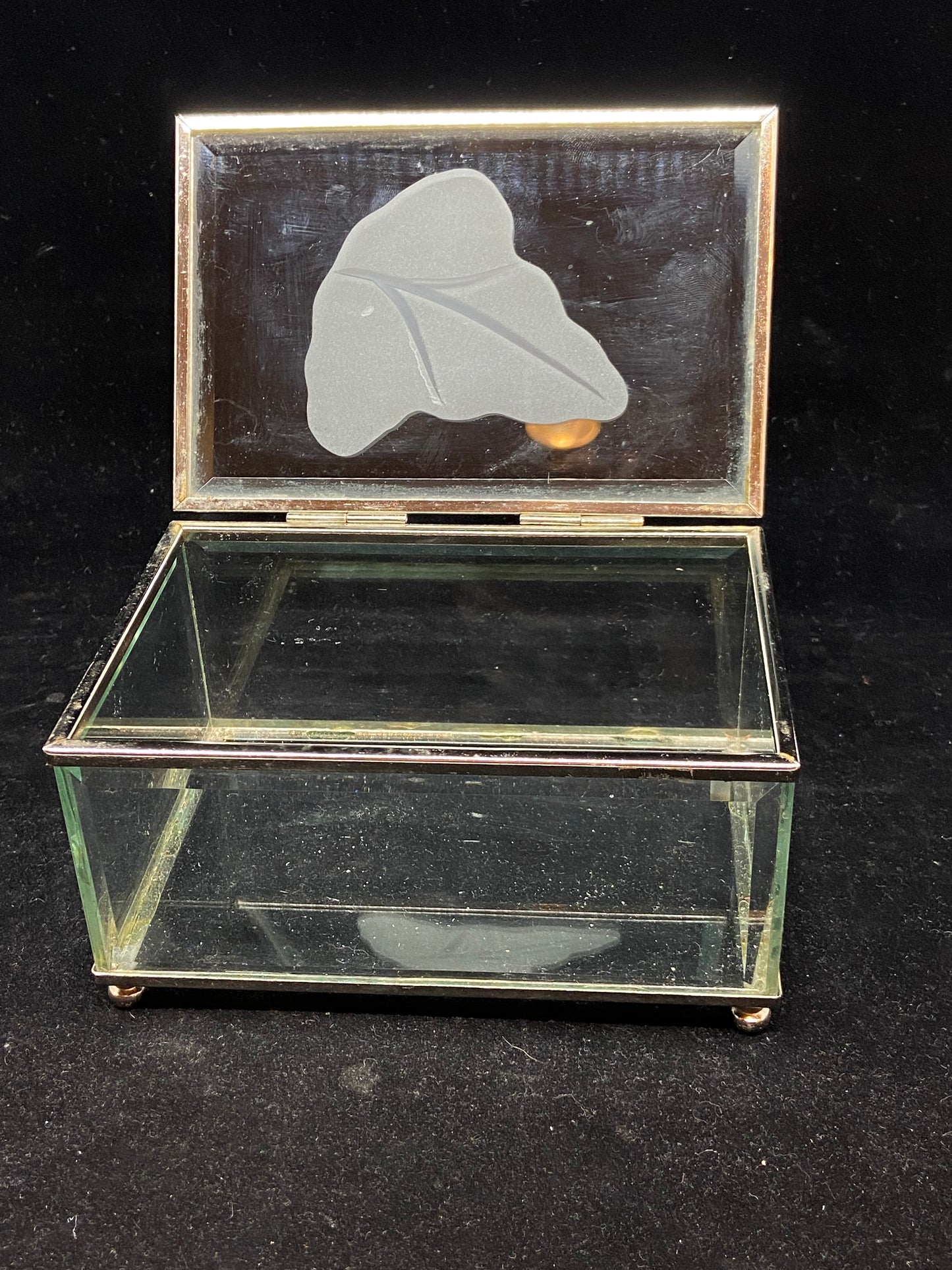 Small Metal and Glass Box (27687)
