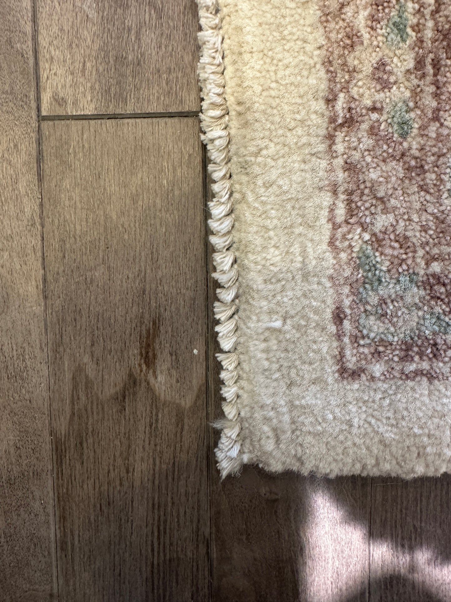 Hand Knotted Rug in pastels and cream, 10x14 (0N100F)