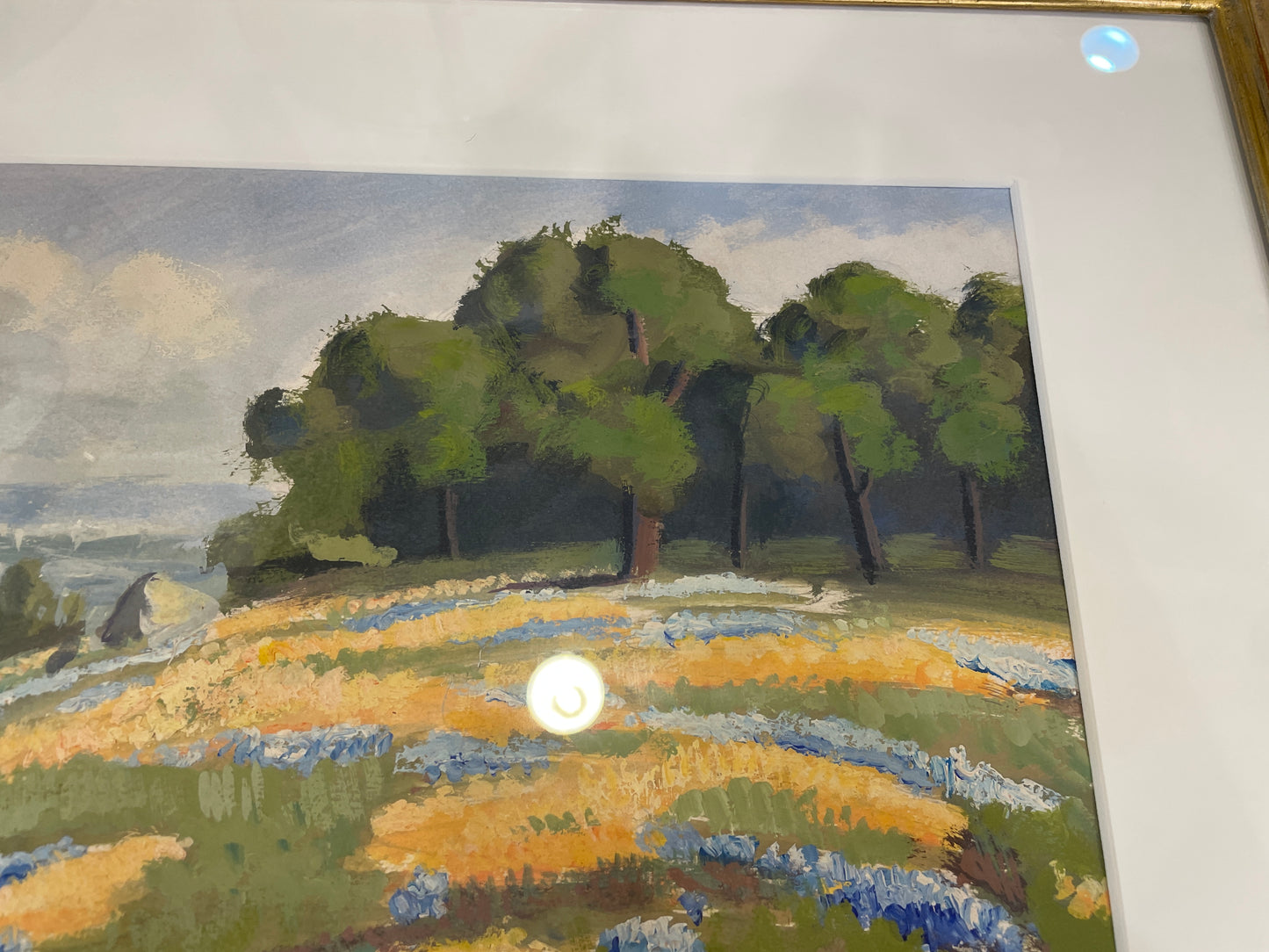 Thomas Tomc Gouache "Study of William Jacobsen California Poppies" (0OT00Z)