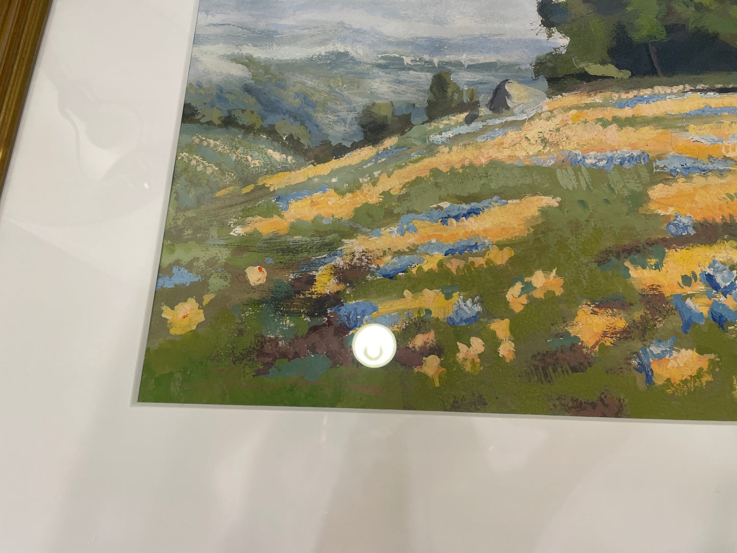 Thomas Tomc Gouache "Study of William Jacobsen California Poppies" (0OT00Z)