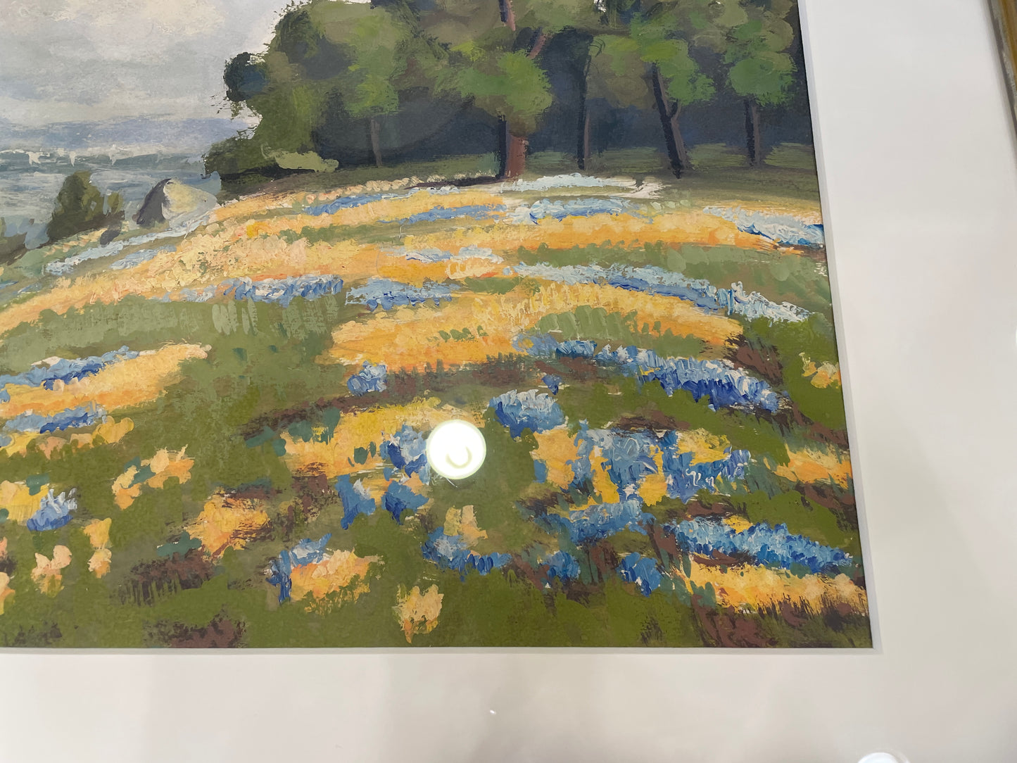 Thomas Tomc Gouache "Study of William Jacobsen California Poppies" (0OT00Z)