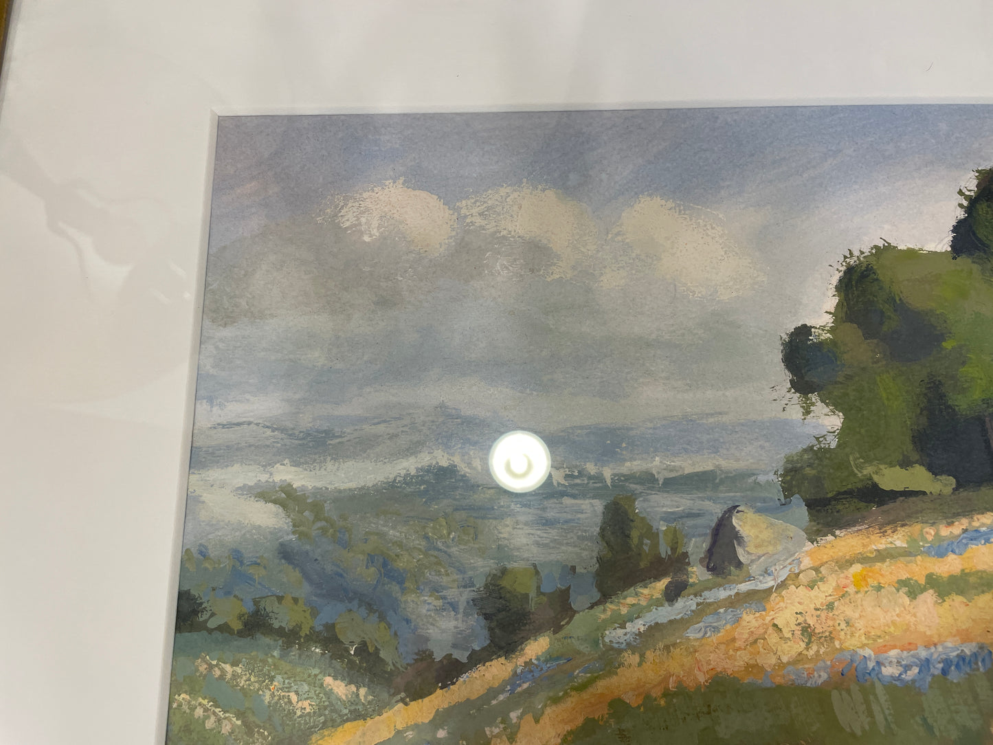 Thomas Tomc Gouache "Study of William Jacobsen California Poppies" (0OT00Z)