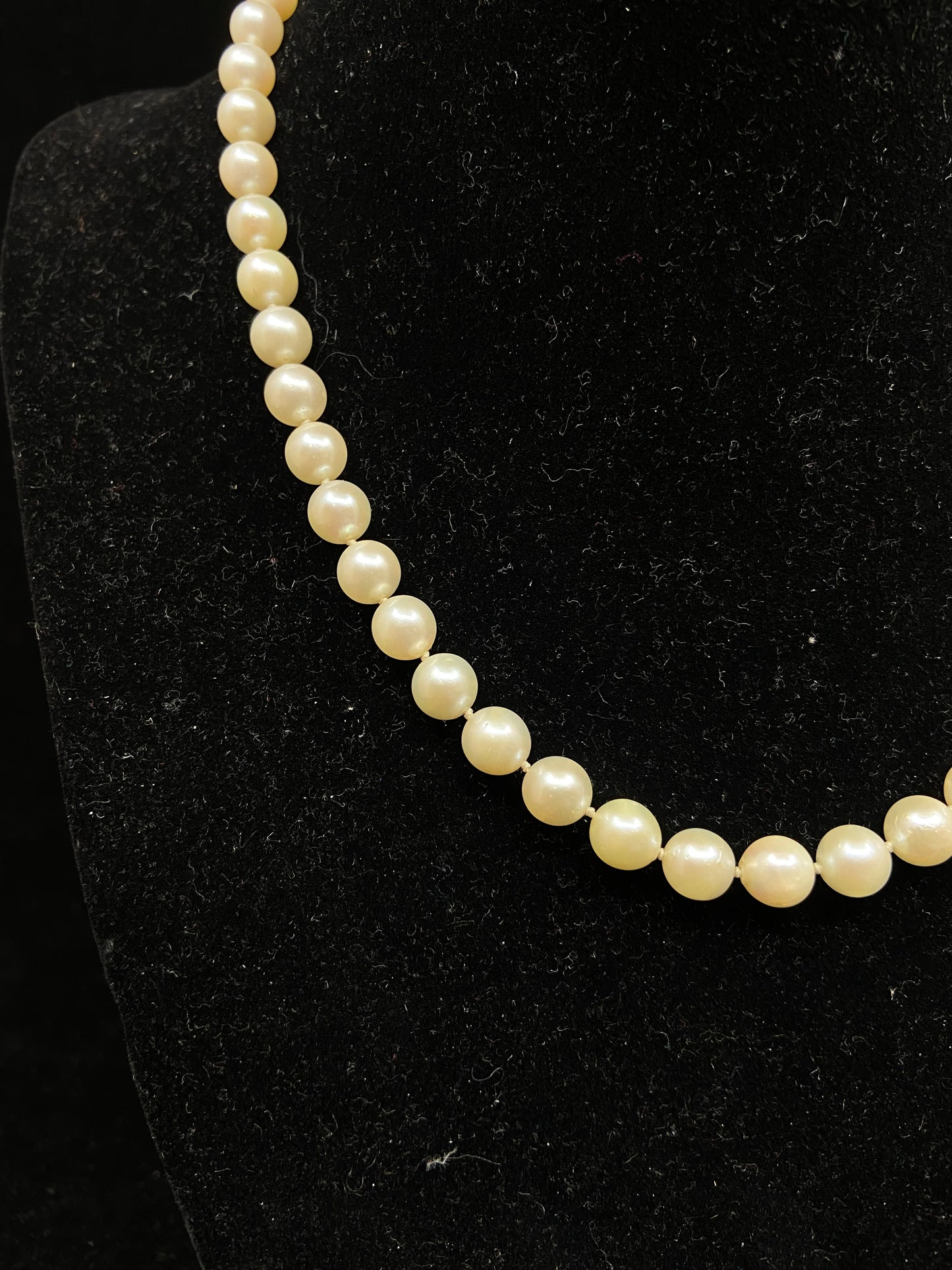 Simple Pearl Necklace (20797)