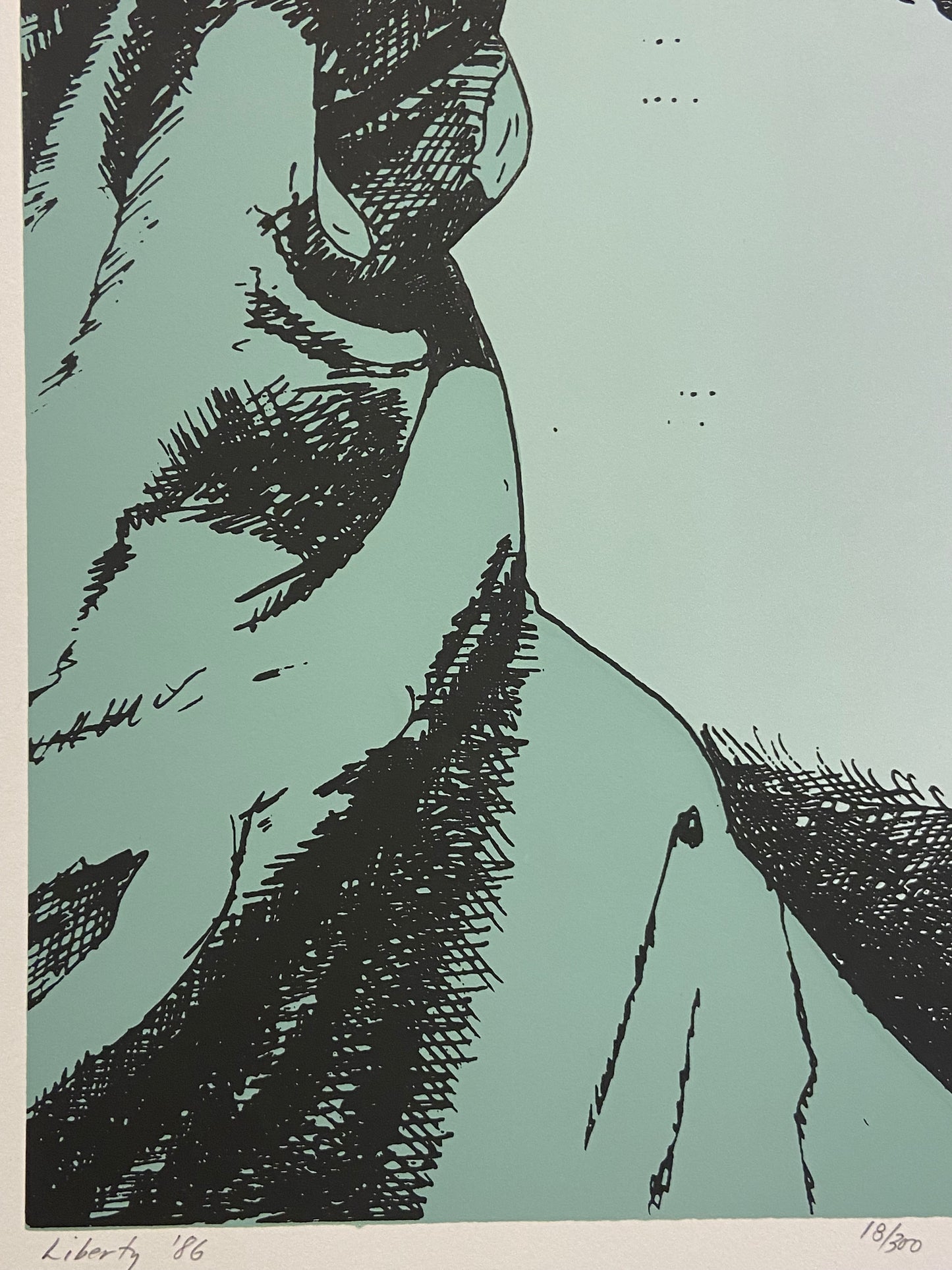 Jim Boutwell "Liberty" Lithograph 18/300 (27797)