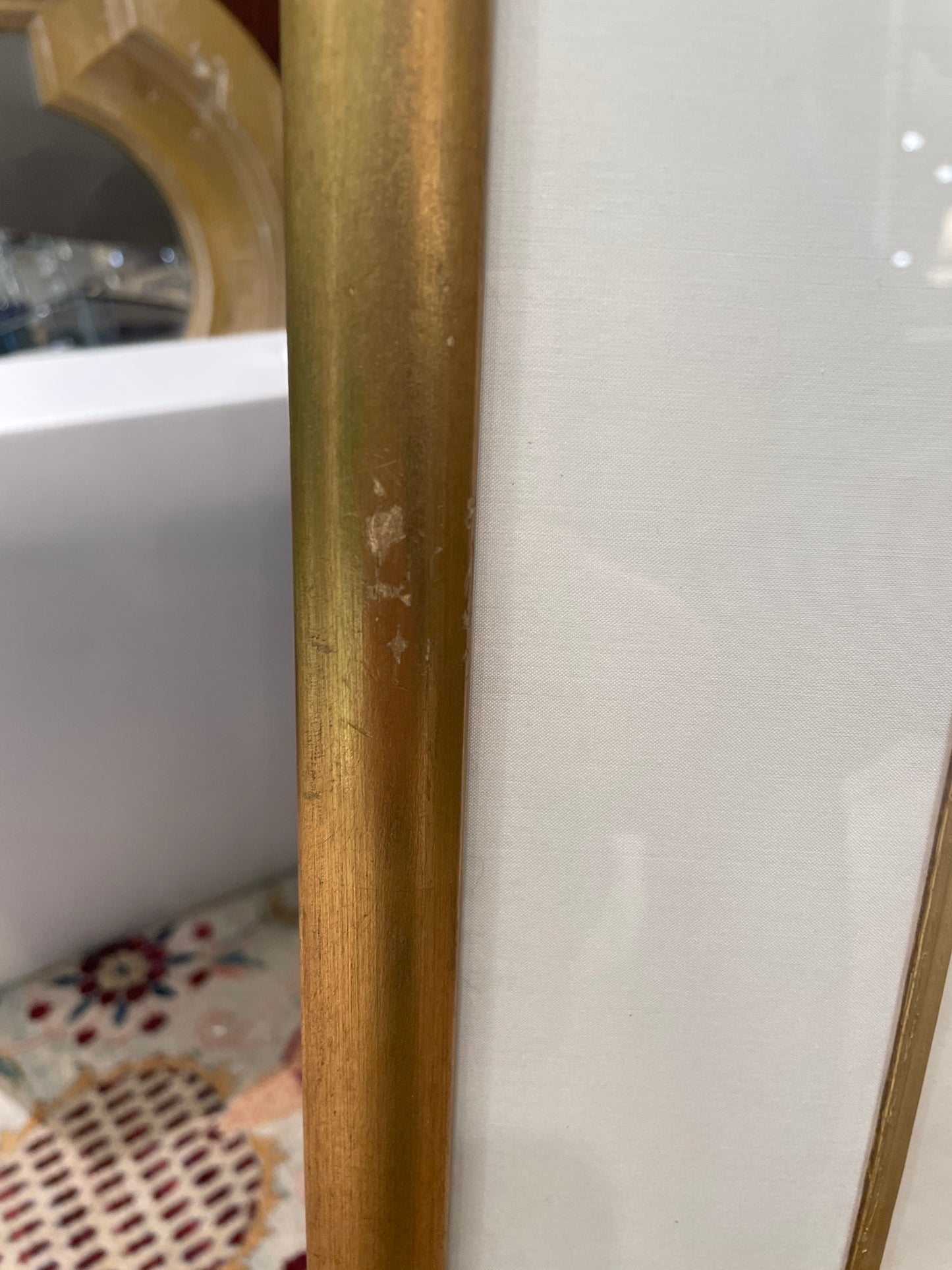 Antique Botanical, Framed and Hand Colored Petrophyum, AS IS (0HP015)