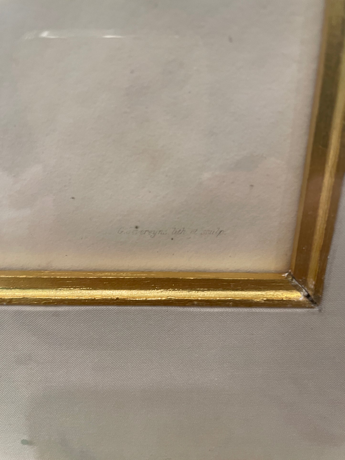 Antique Botanical, Framed and Hand Colored Petrophyum, AS IS (0HP015)