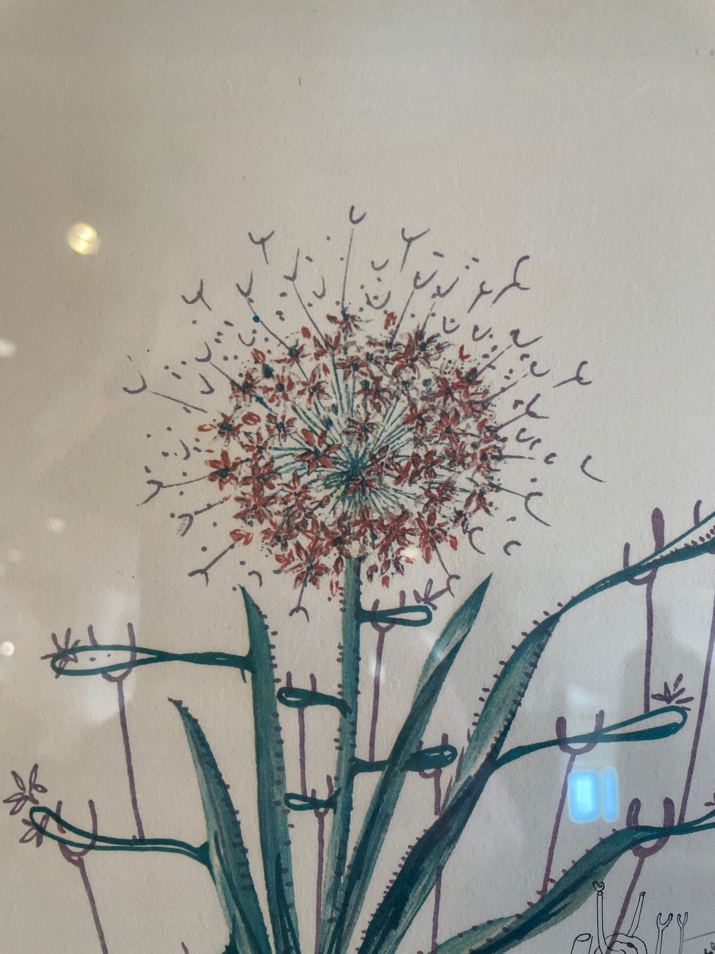 Dali "Cactus les Béquilles" Litho, AS IS (0P5001)