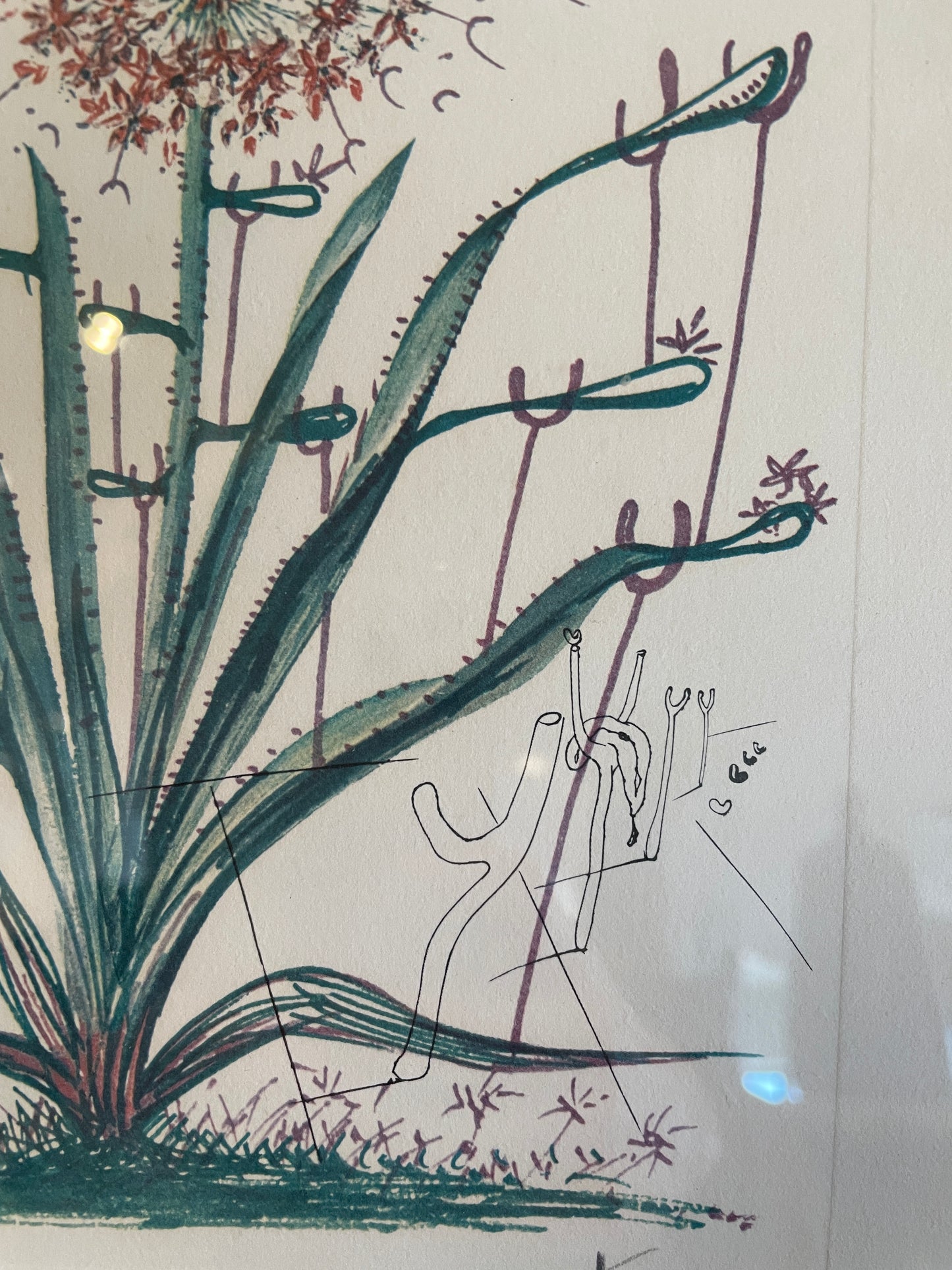 Dali "Cactus les Béquilles" Litho, AS IS (0P5001)