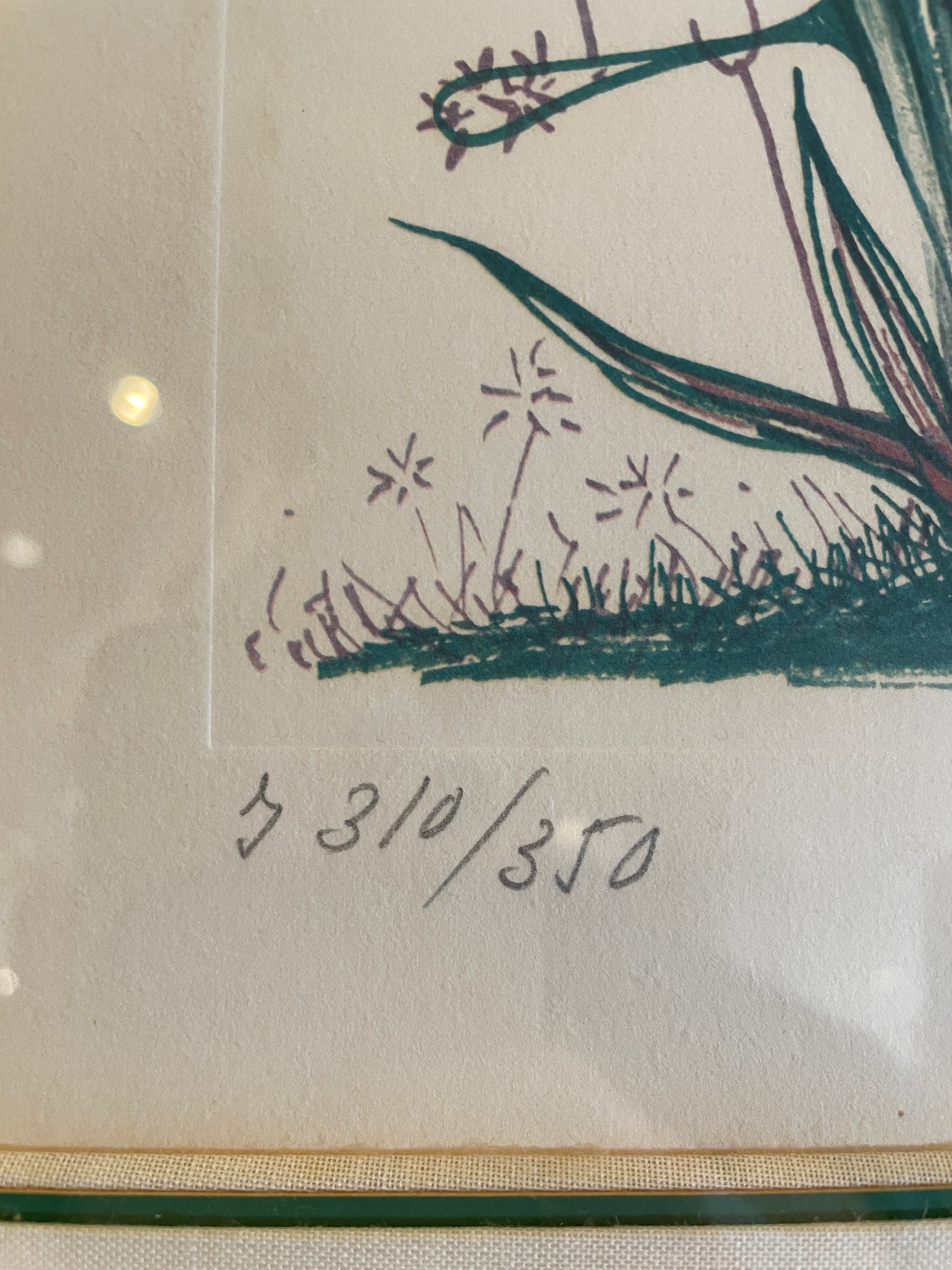 Dali "Cactus les Béquilles" Litho, AS IS (0P5001)