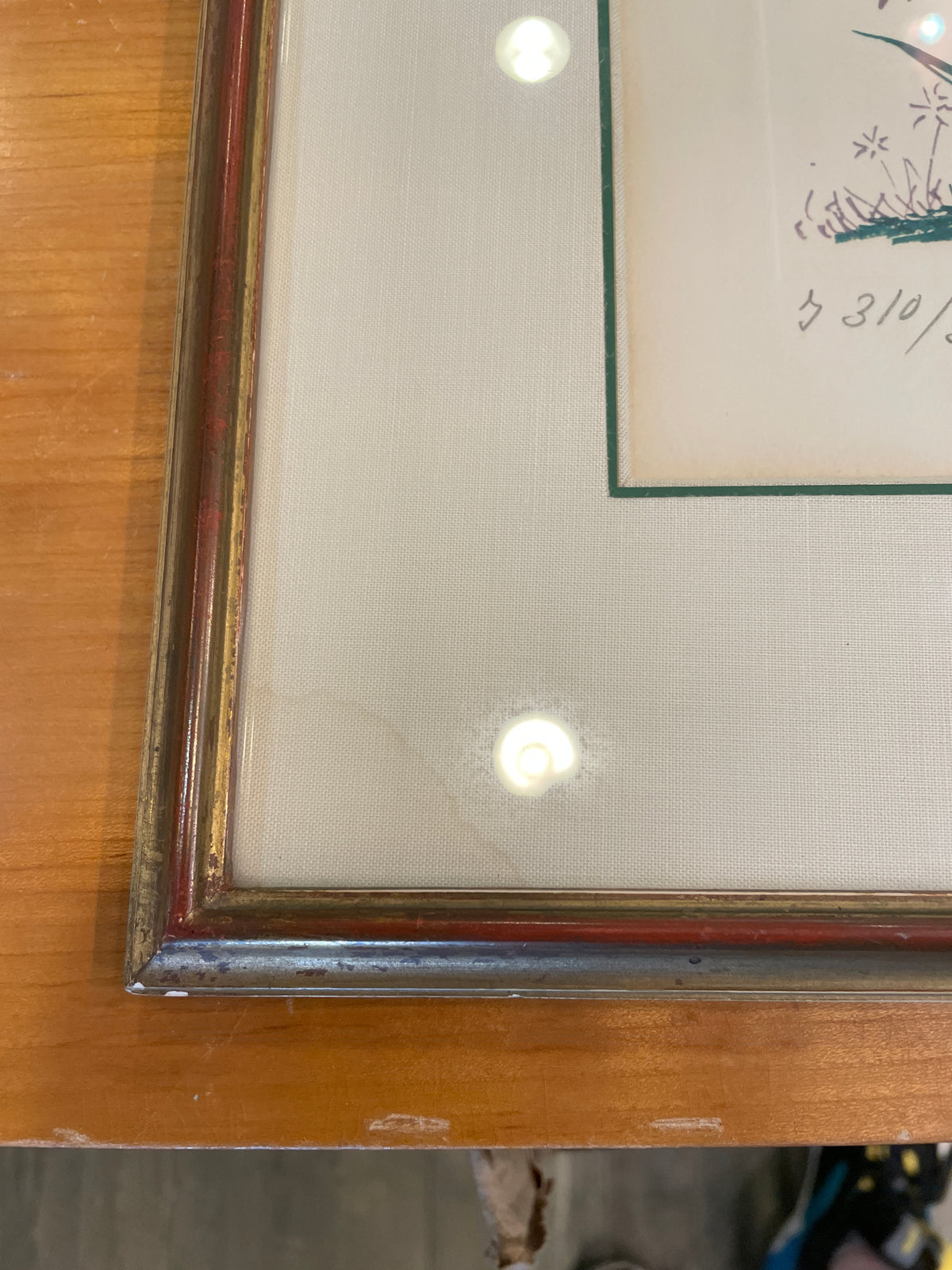 Dali "Cactus les Béquilles" Litho, AS IS (0P5001)