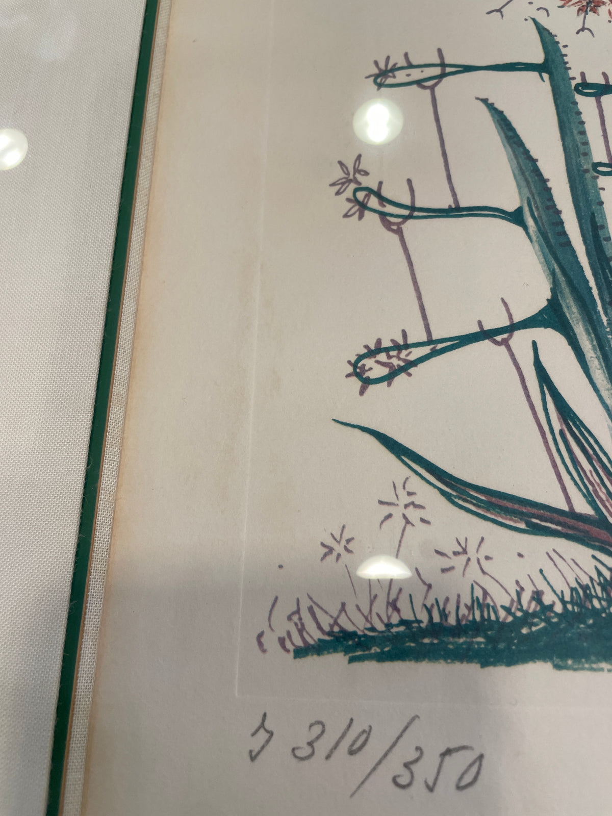 Dali "Cactus les Béquilles" Litho, AS IS (0P5001)