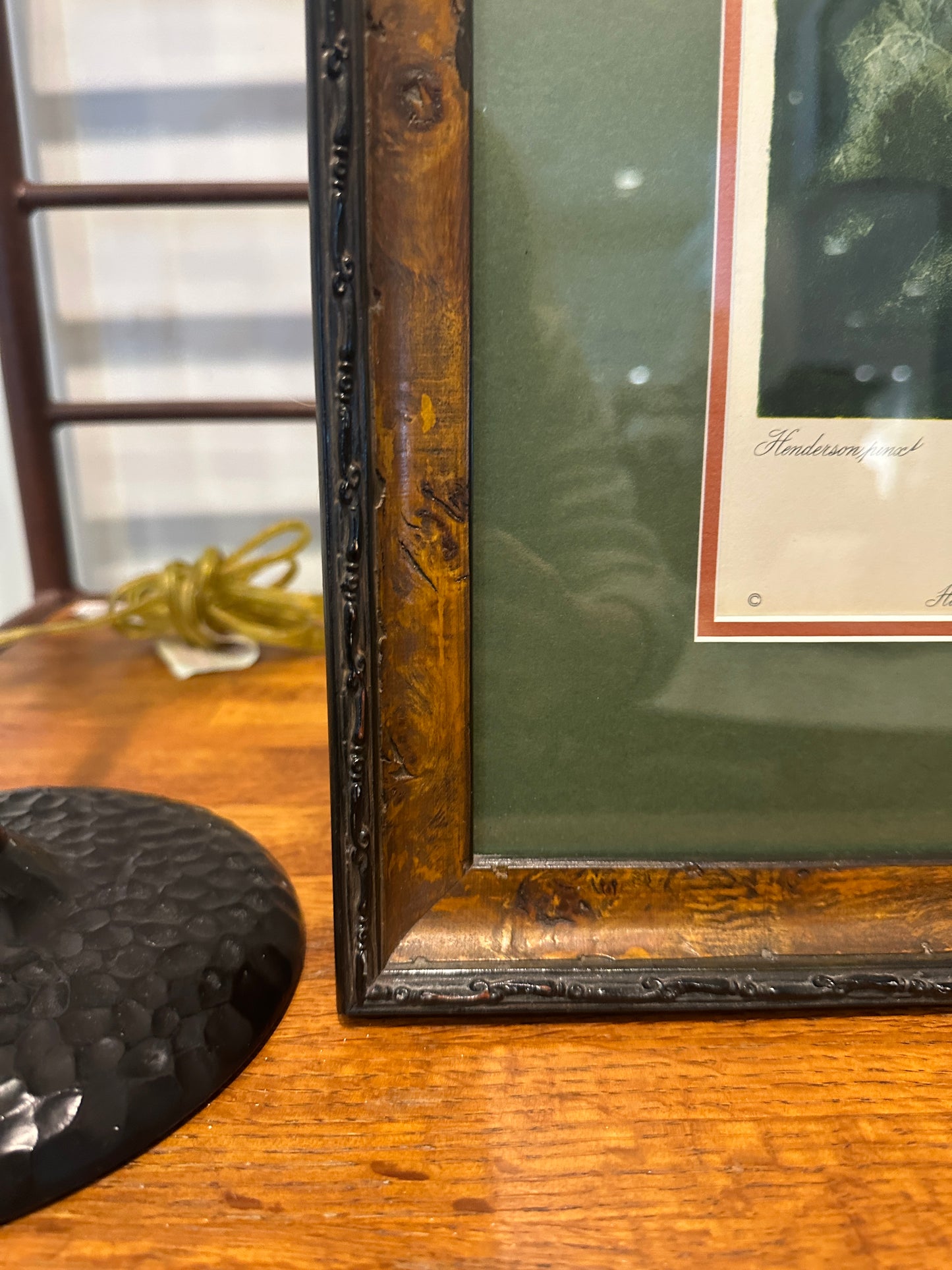 The Sacred Egyptian Bean Print Custom Framed (03T00M)