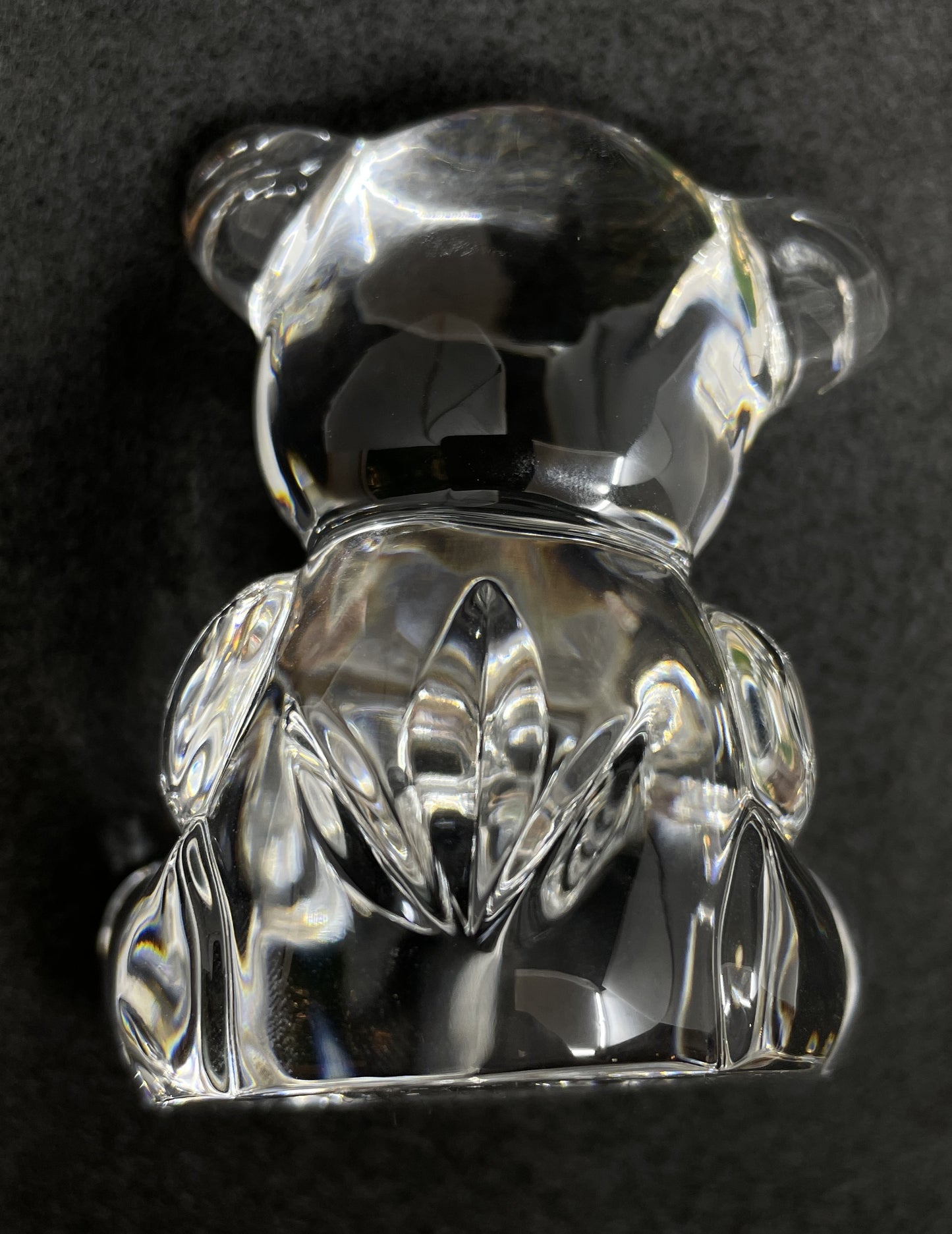 Waterford Teddy Bear (0LF005)