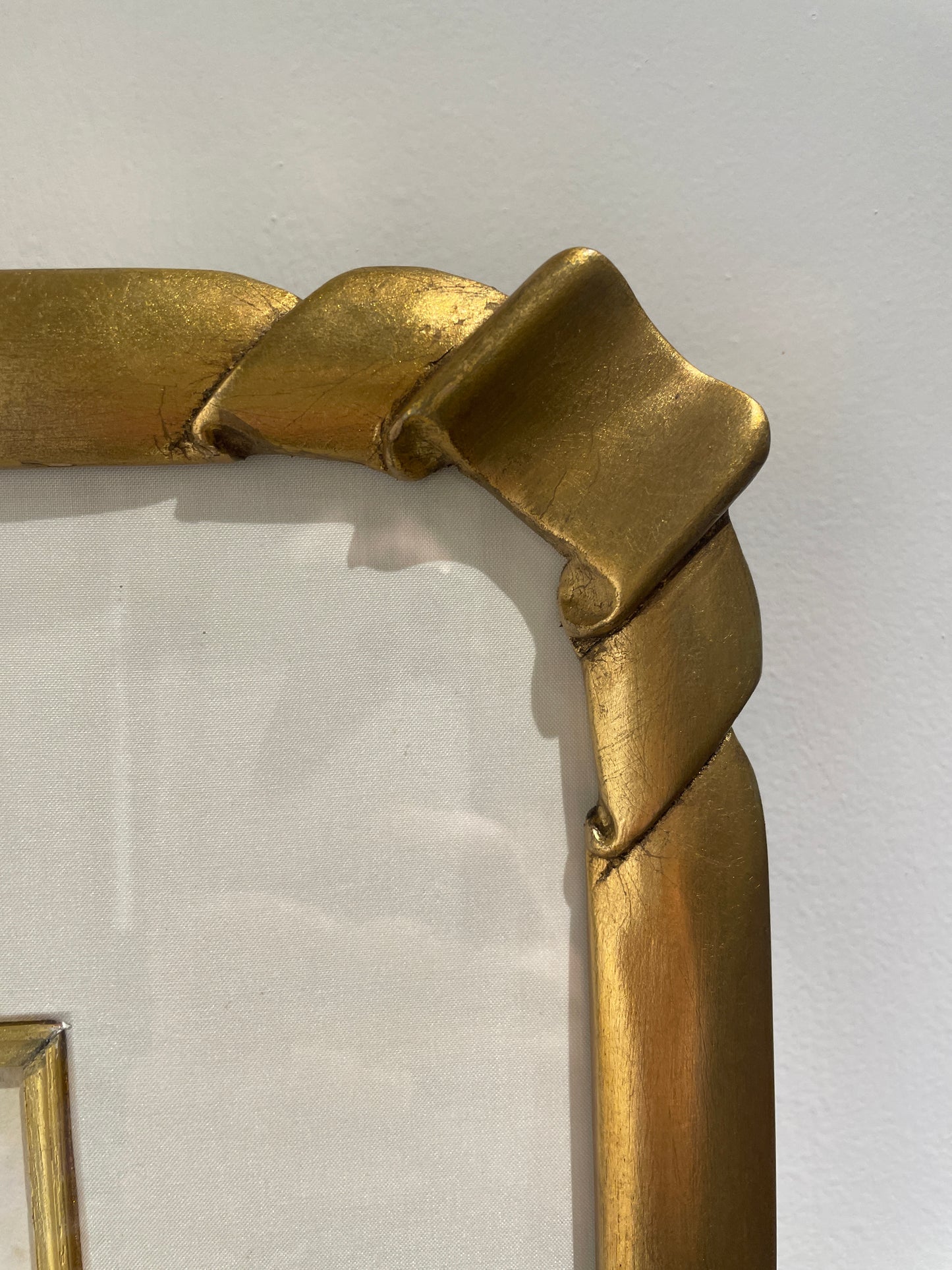 Antique Botanical, Framed and Hand Colored Heterocarpa and Membranacea, AS IS (0HP015)