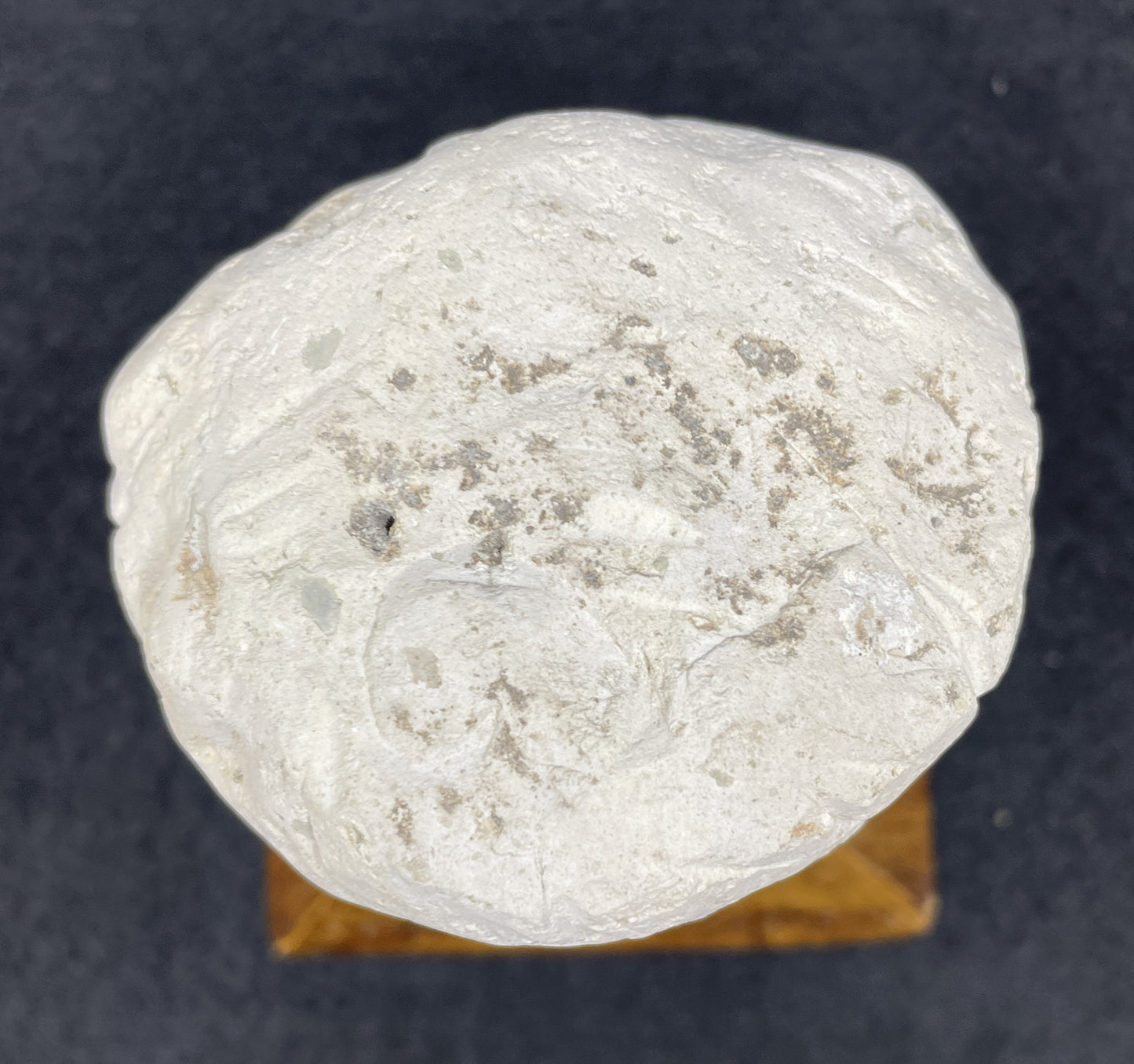 Balinese Stone Head (05B00M)