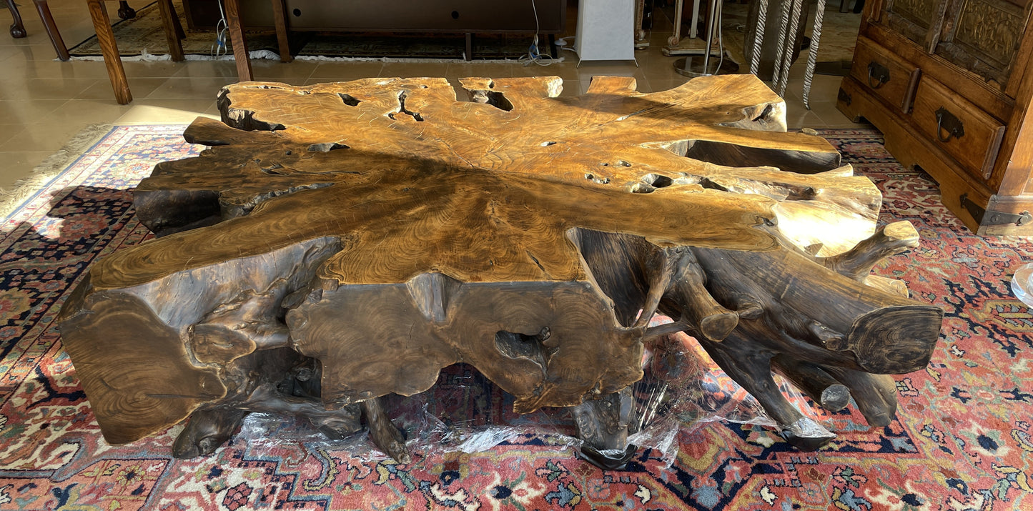 Andrianna Shamaris Teak Root Coffee Table (0HV002)